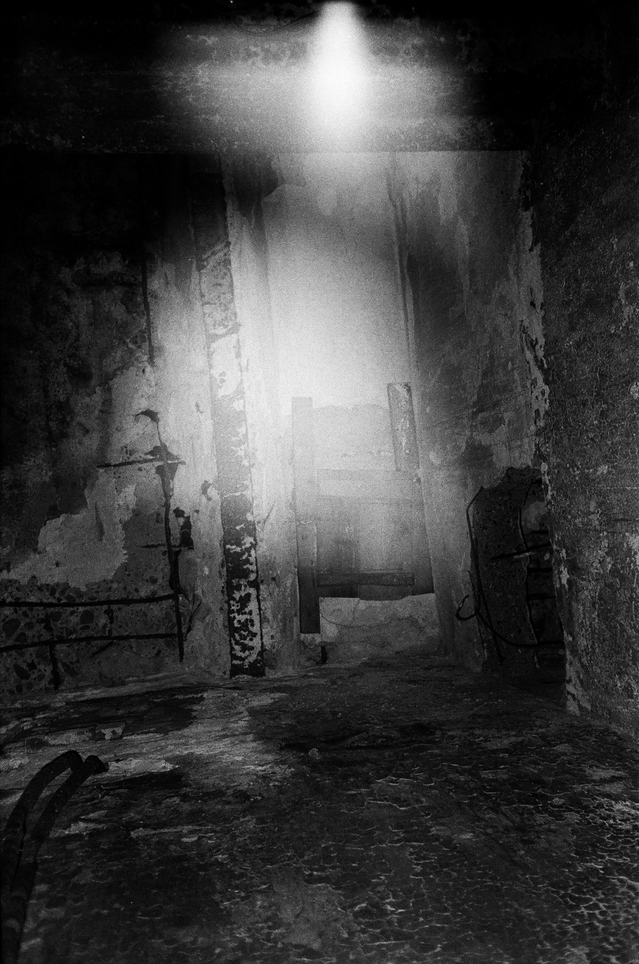 Fall '22. Pavlov Arts