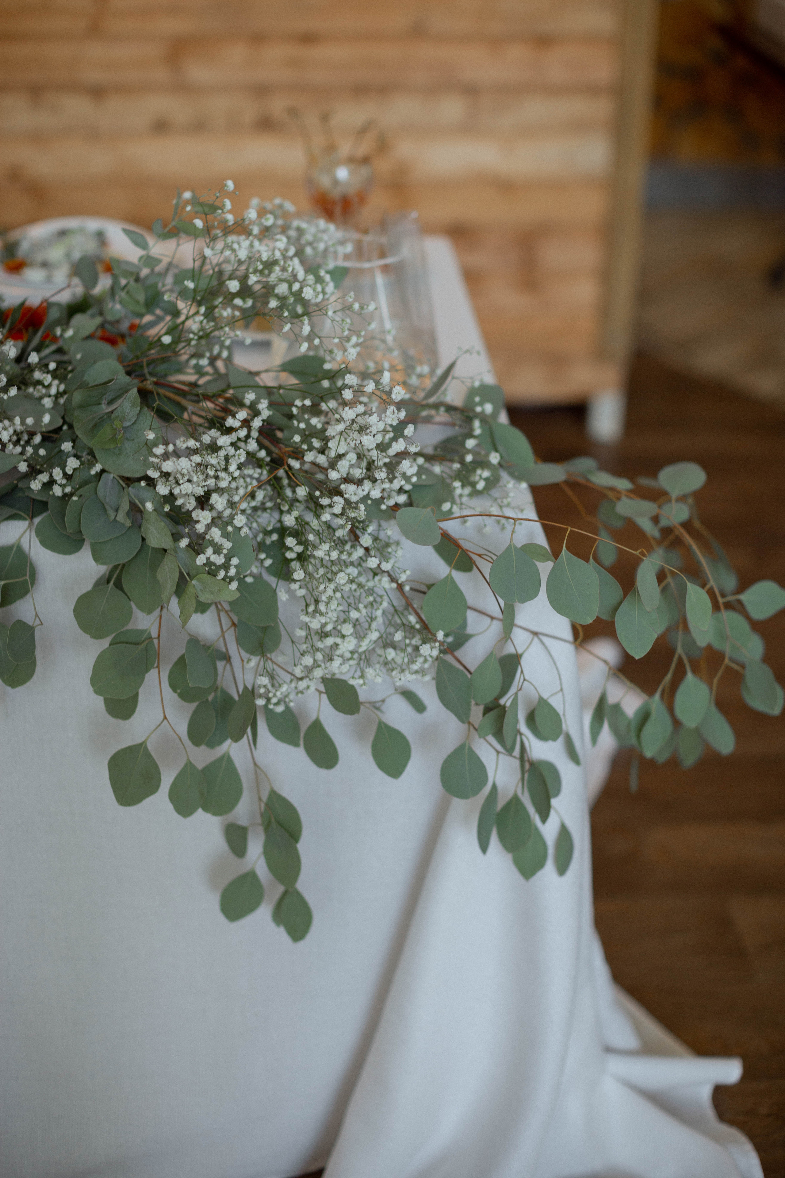 Диана | Миша