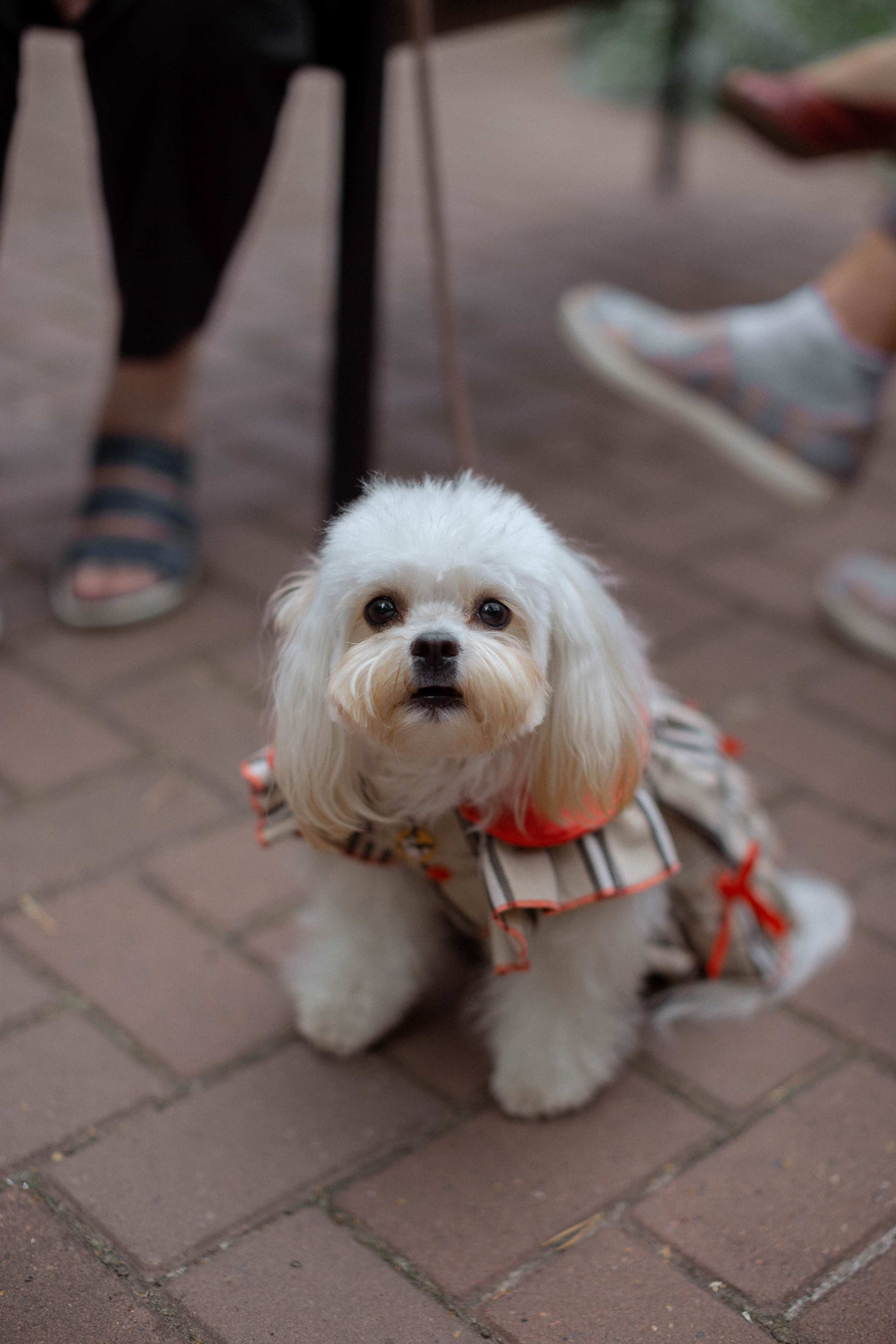 Ксюша | Женя