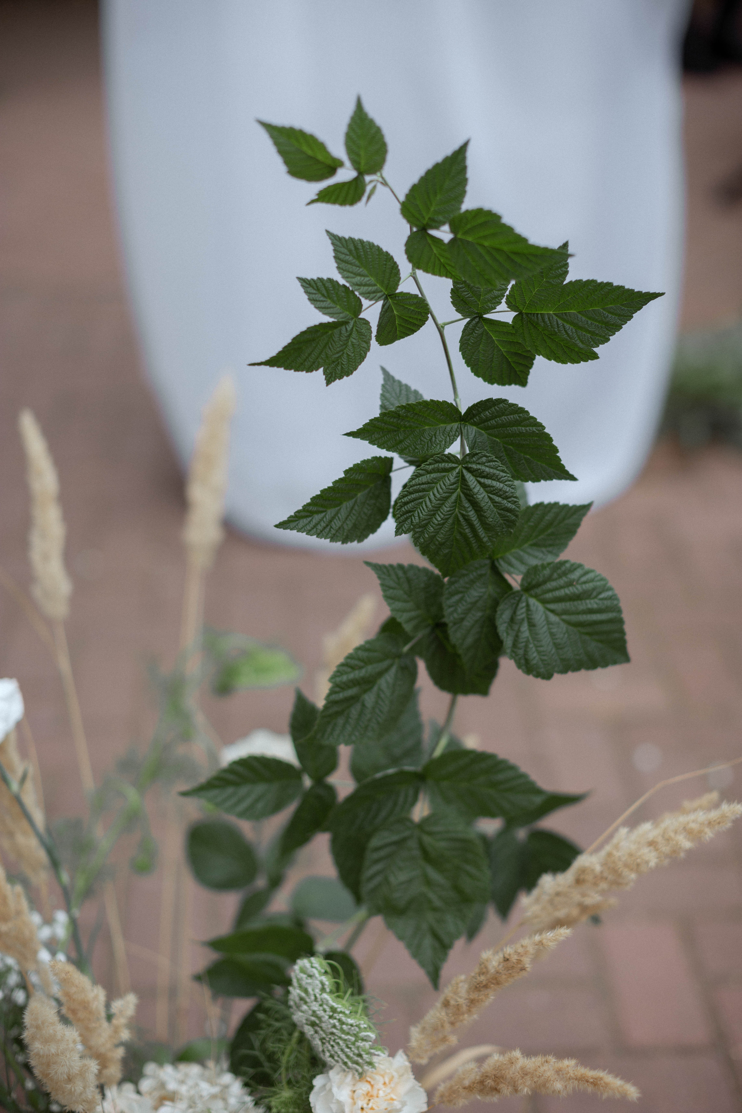 Ксюша | Женя