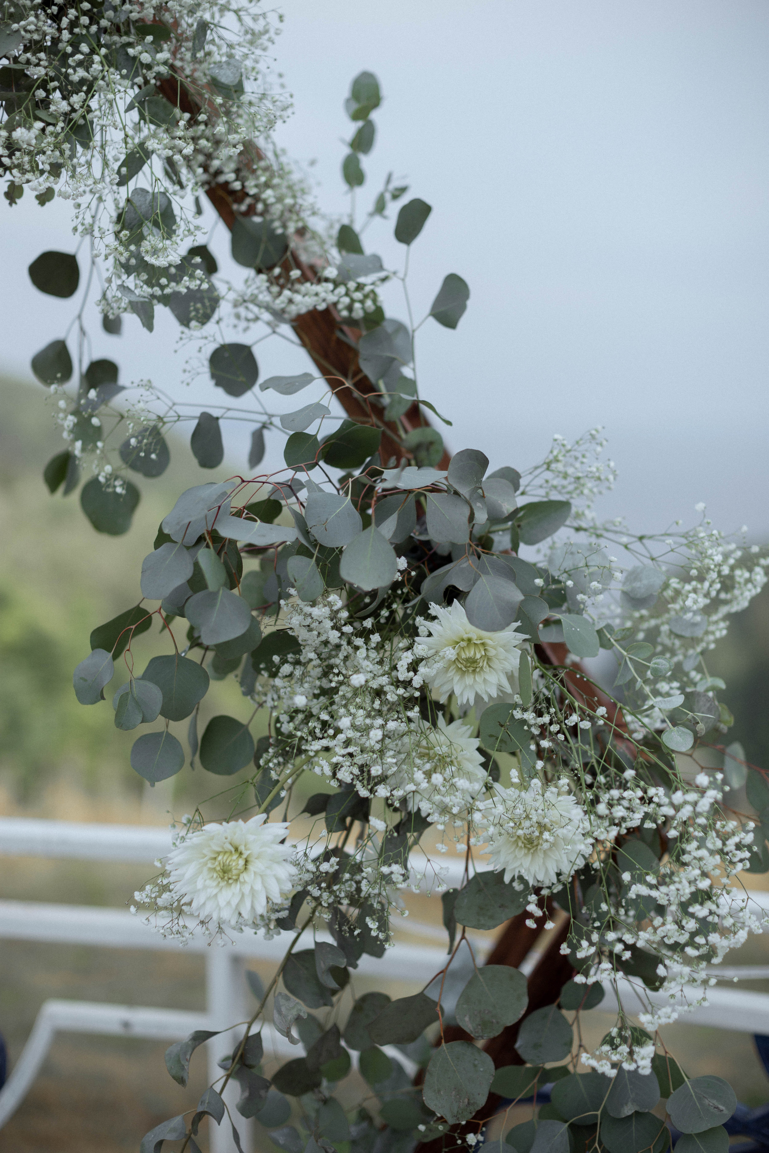 Диана | Миша