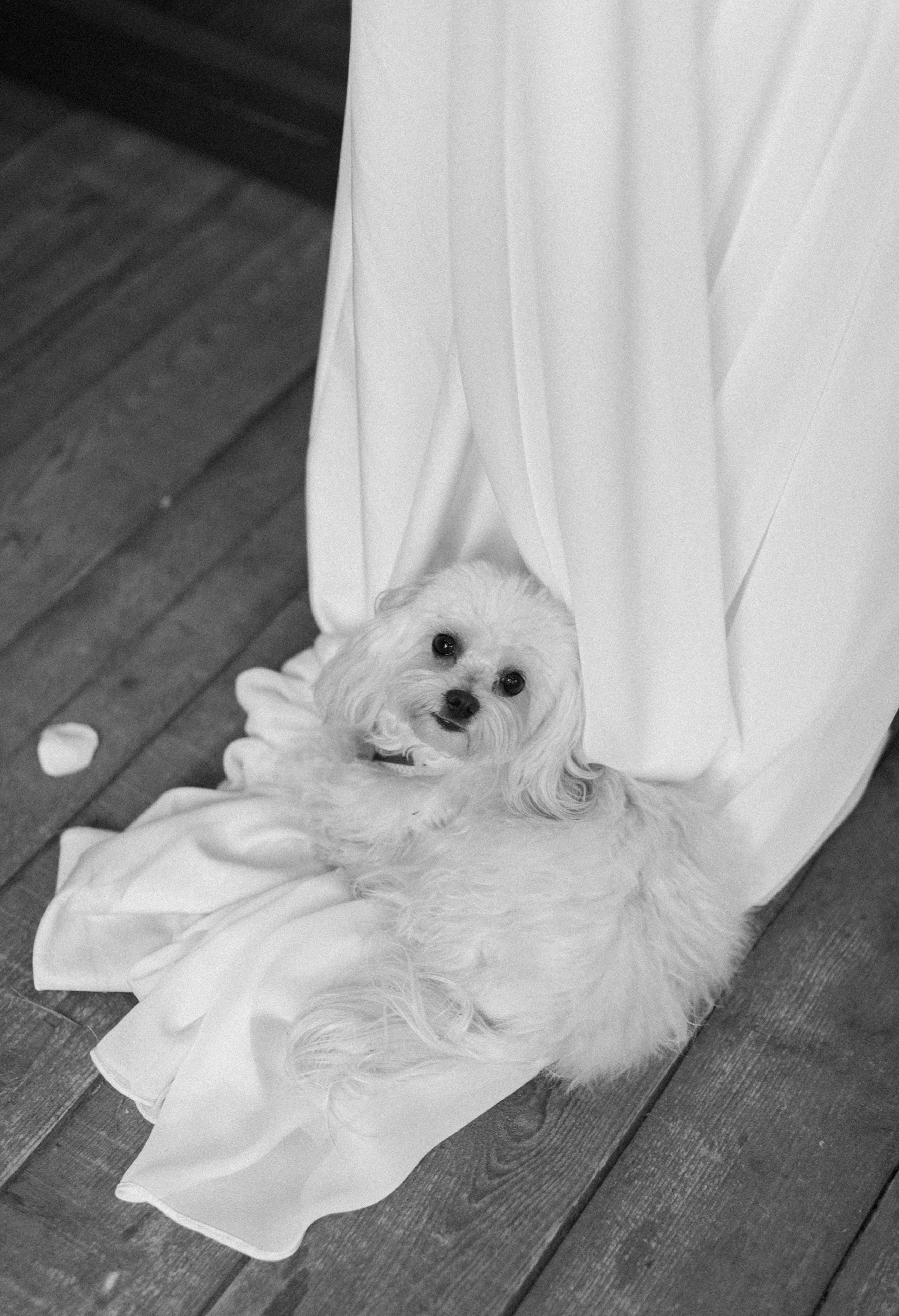 Ксюша | Женя