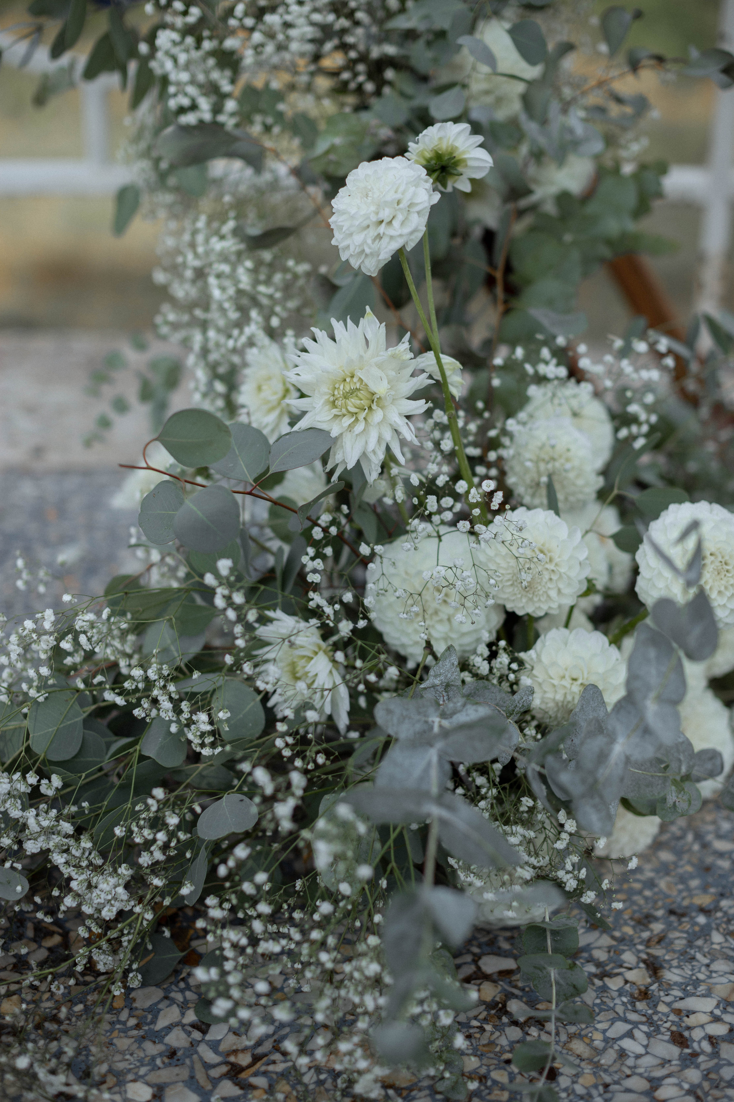 Диана | Миша