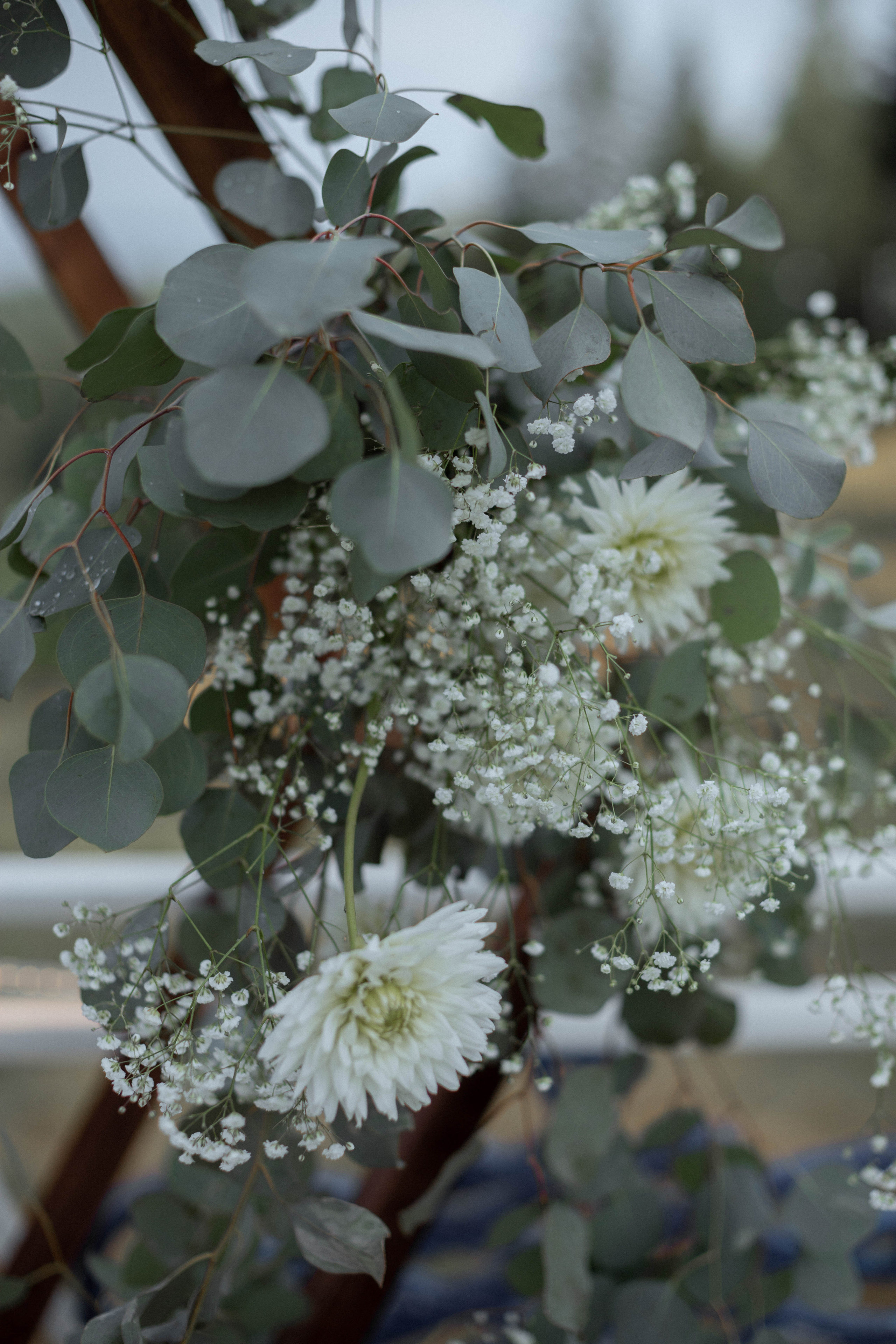 Диана | Миша