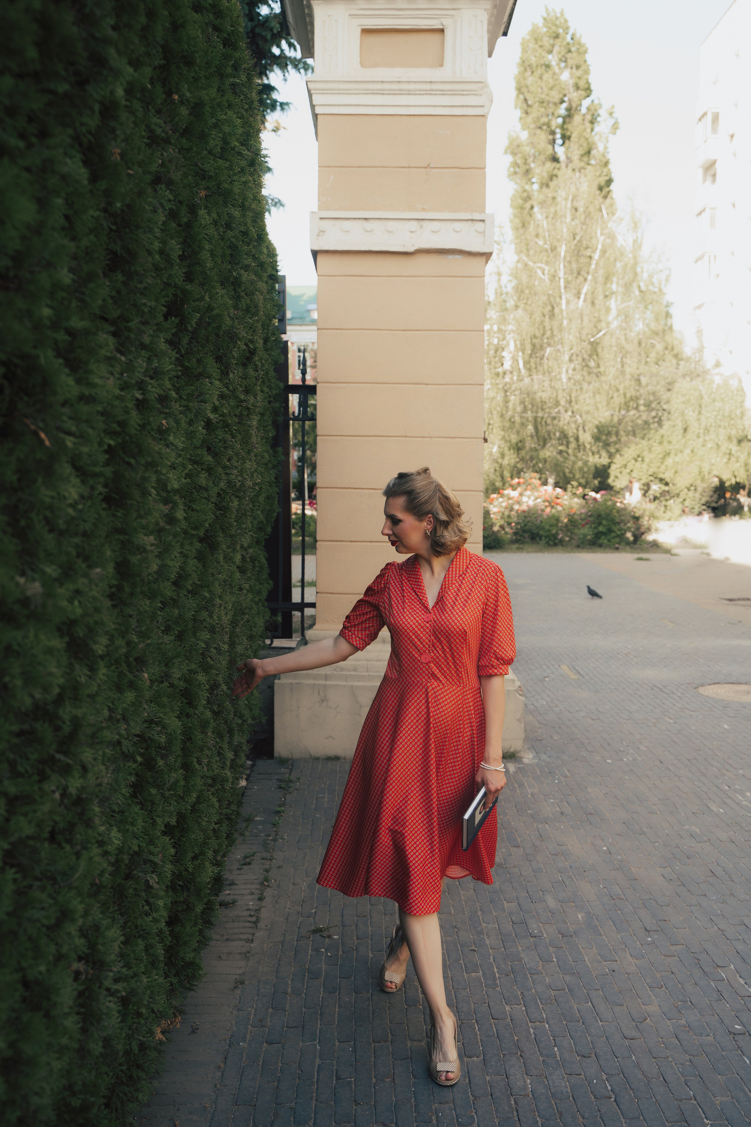 Розы. Фотограф Мария Зайчик