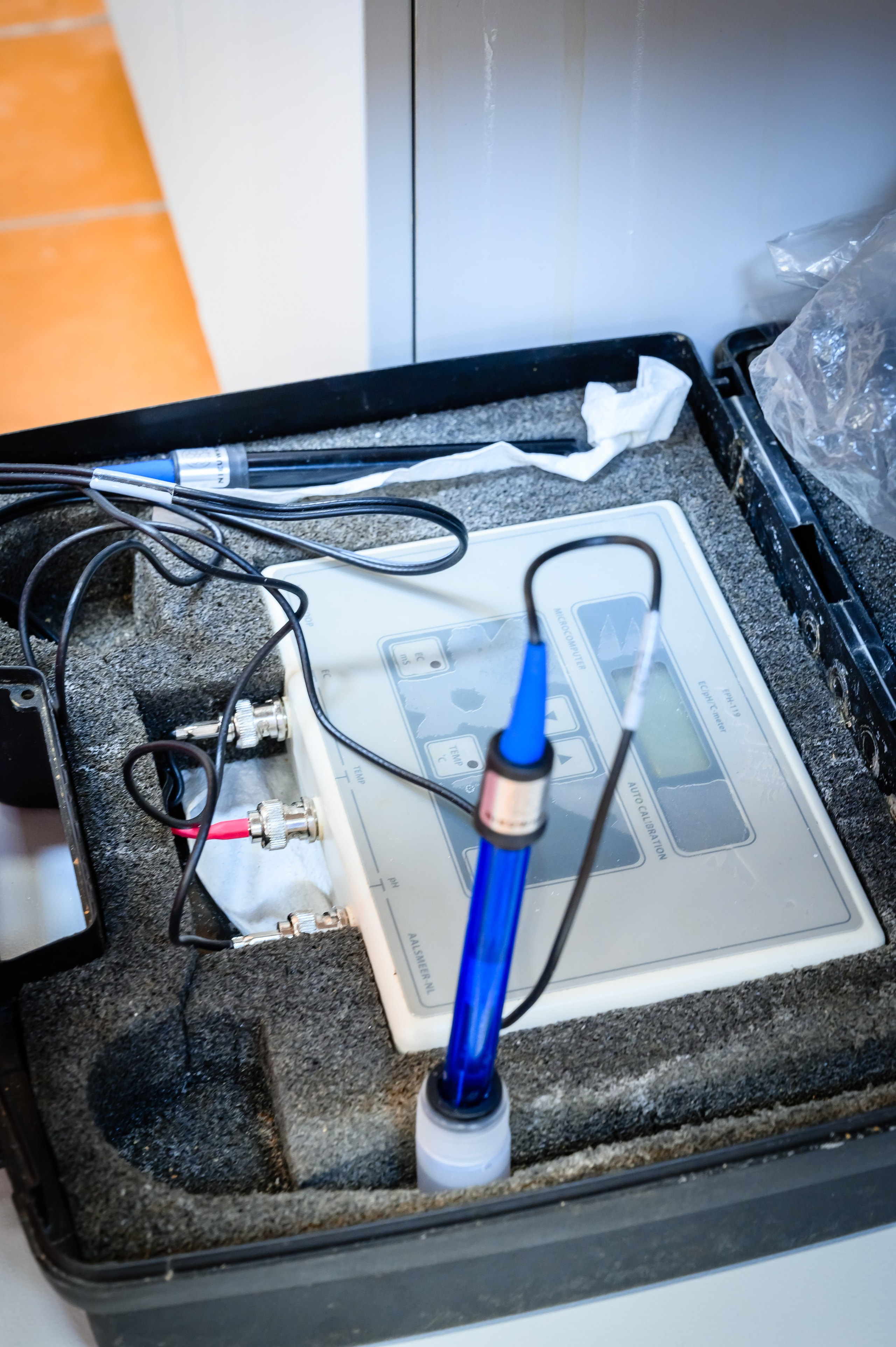 Тепличный комплекс «ПЕРМСКИЙ»