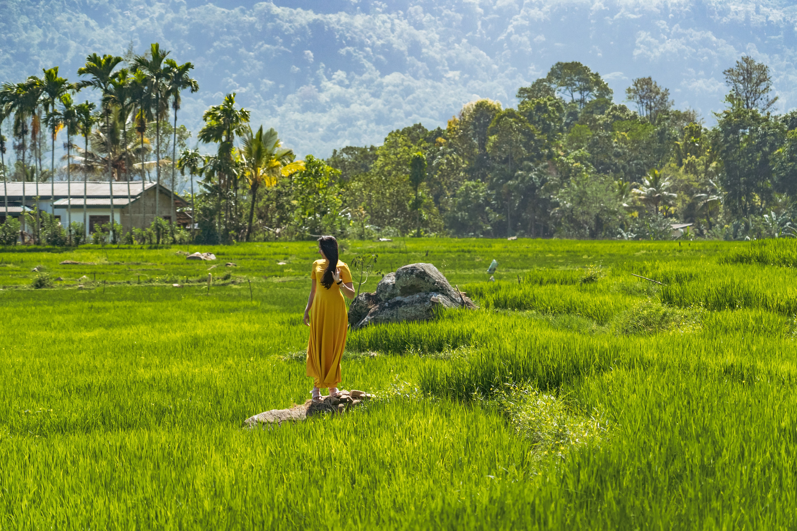 Promo content shooting for Ceylon Forward Tours