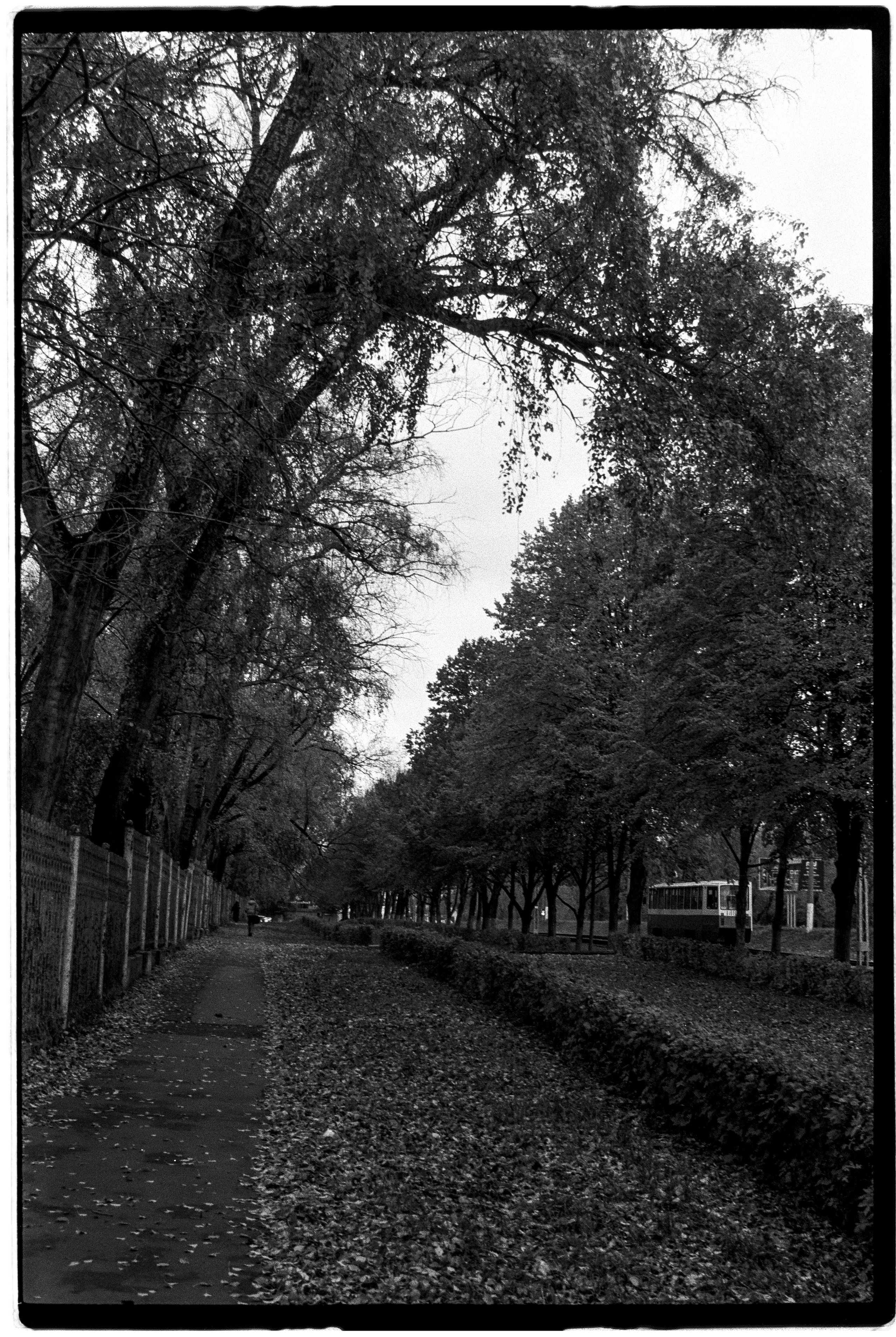 KOLOMNA. ANNA — PHOTOGRAPHER