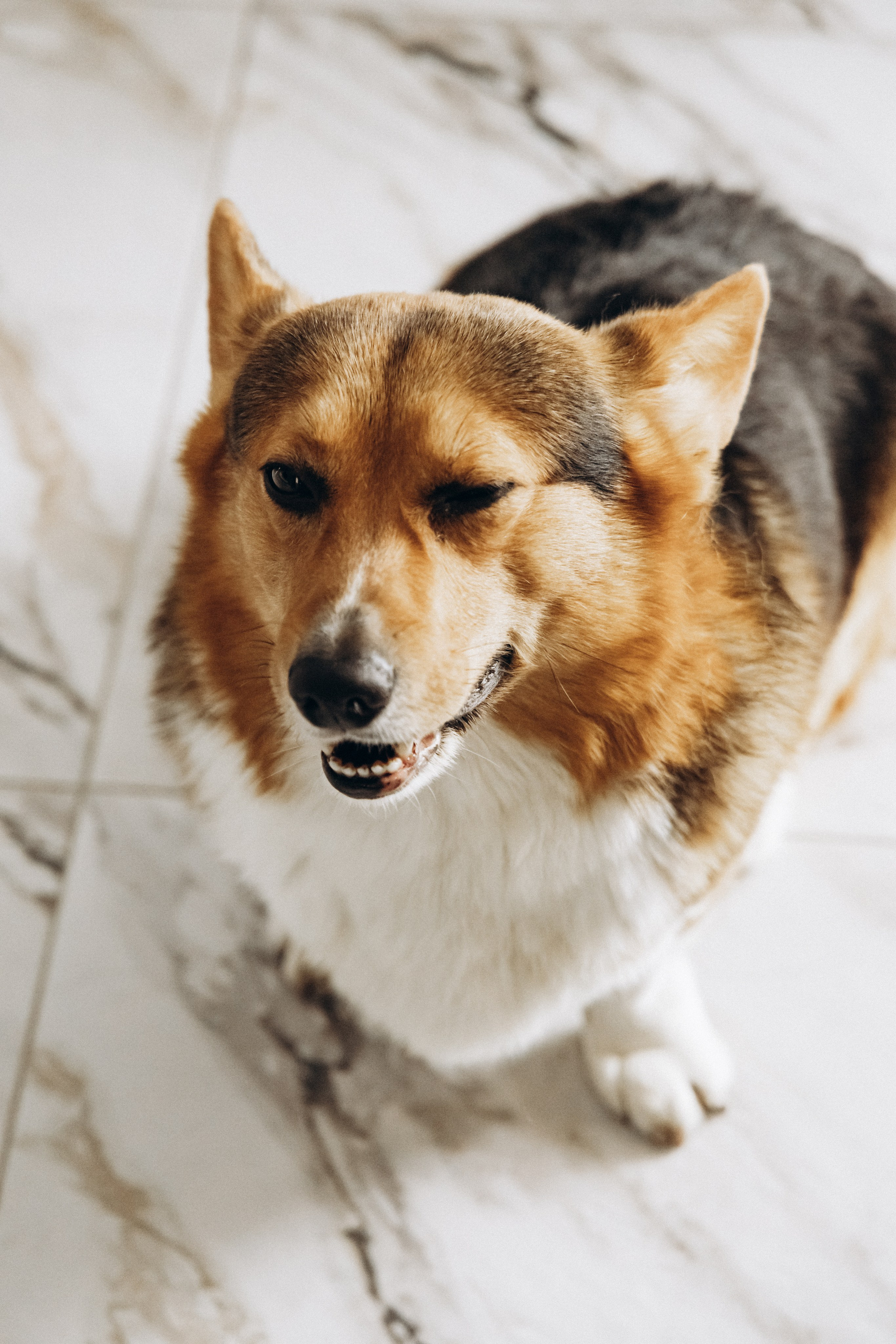 Vasilisa. Свадебный и семейный фотограф в Краснодаре Диана Смирнова