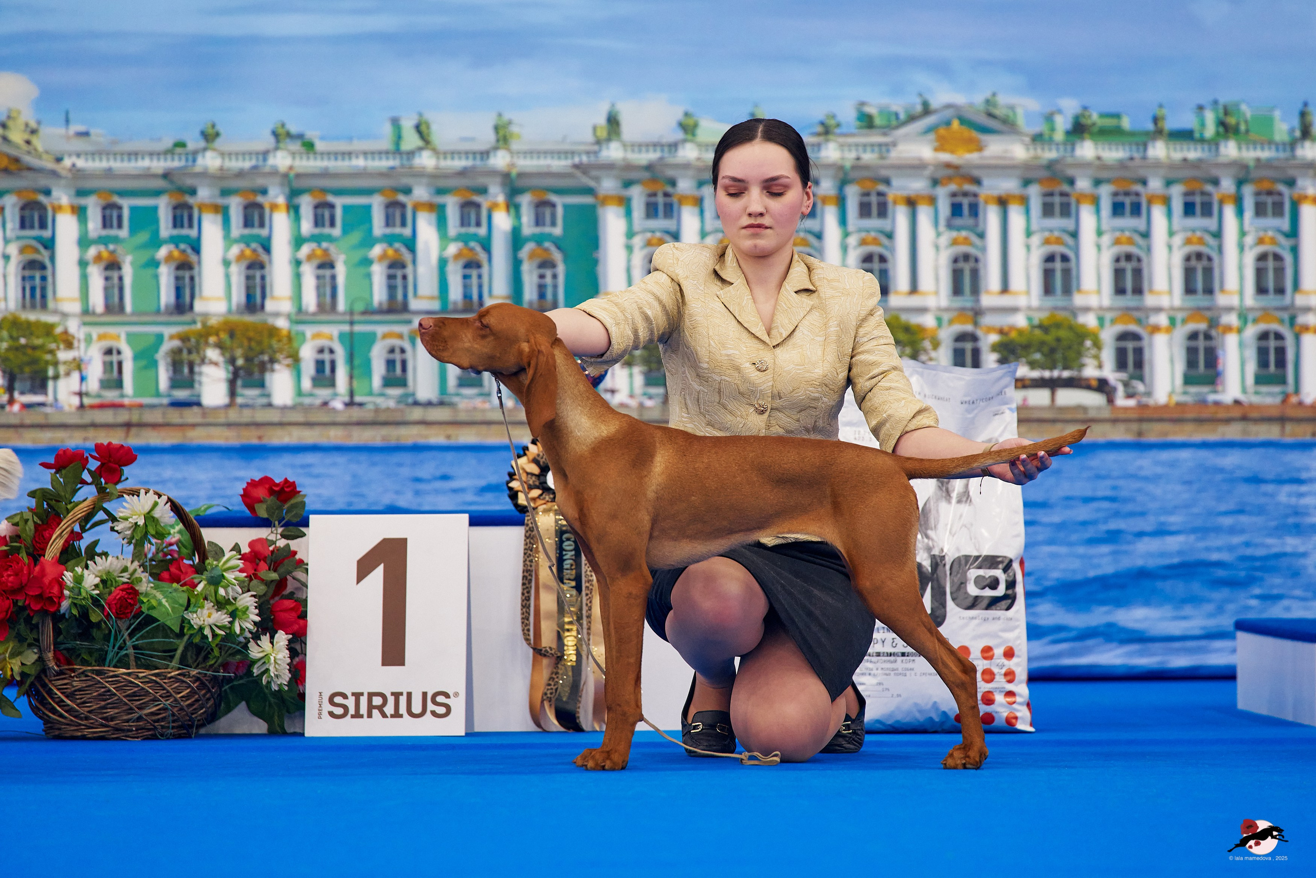 27.04.2025 | "Петербург-Элита 2025" & «КУБОК «ЭЛИТЫ»-2025»