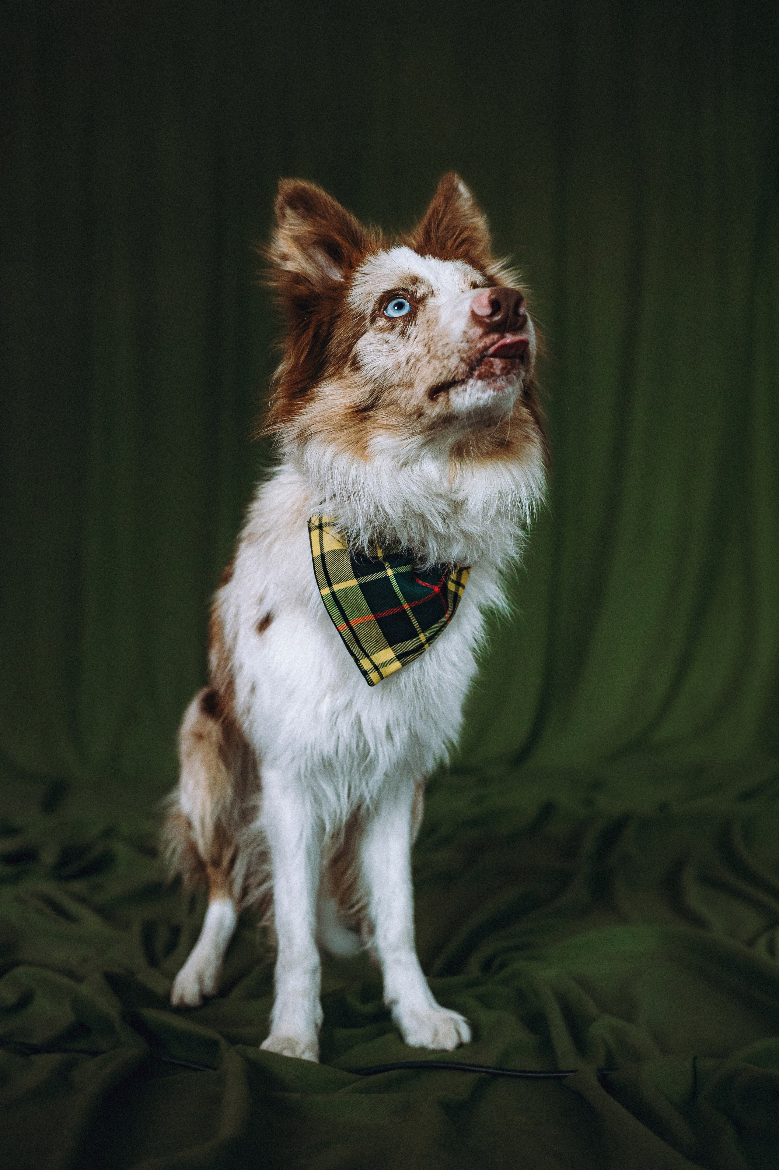 День рождения Айко