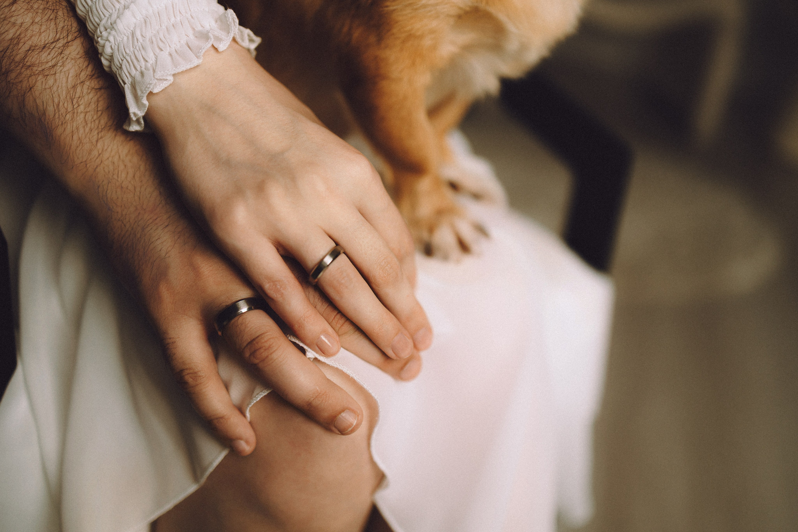 Денис, Василина, Гаврюша и Кнопка