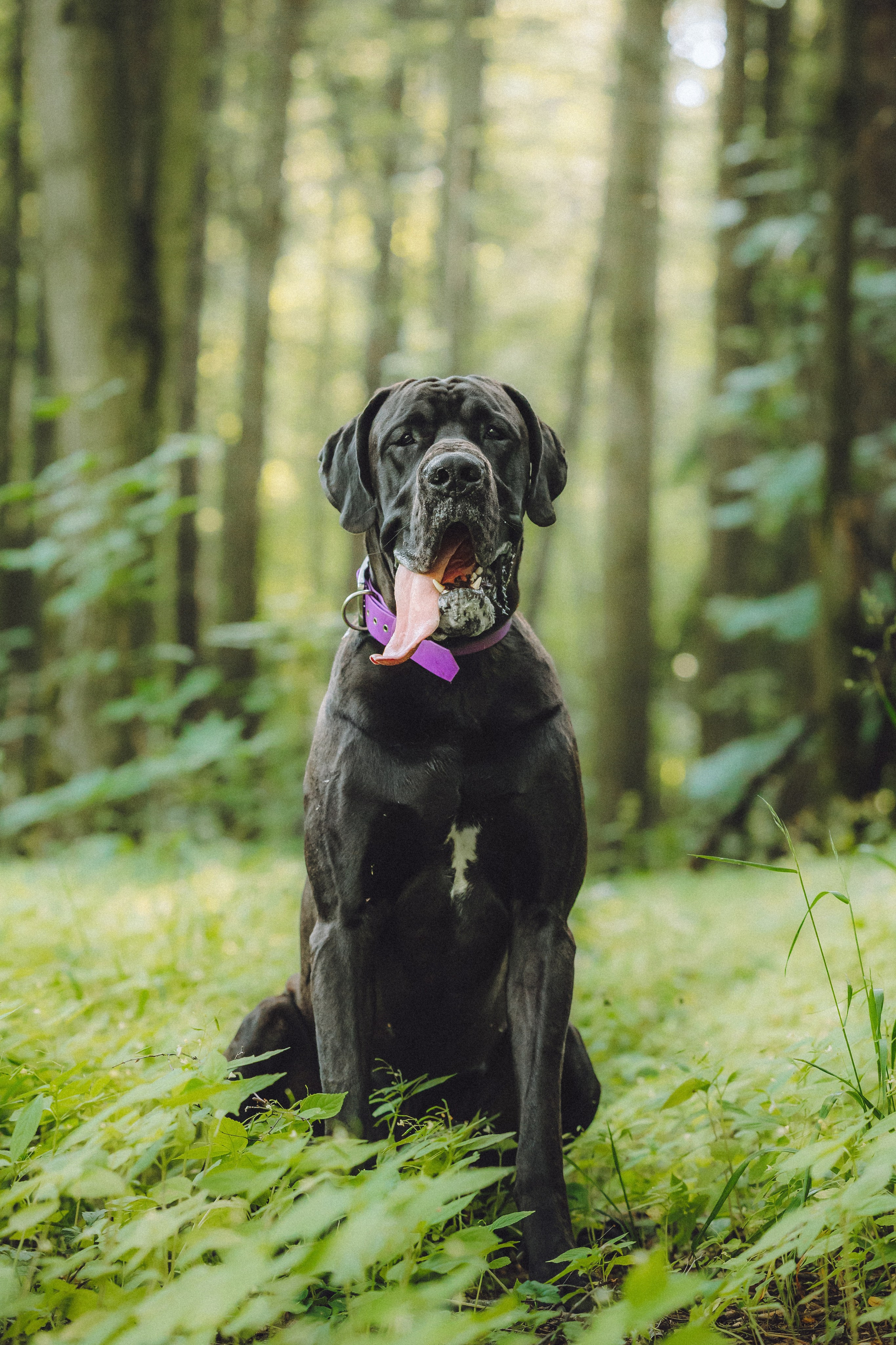 Катя, Андрей, Гектор, Ричи, Тортик и Трой