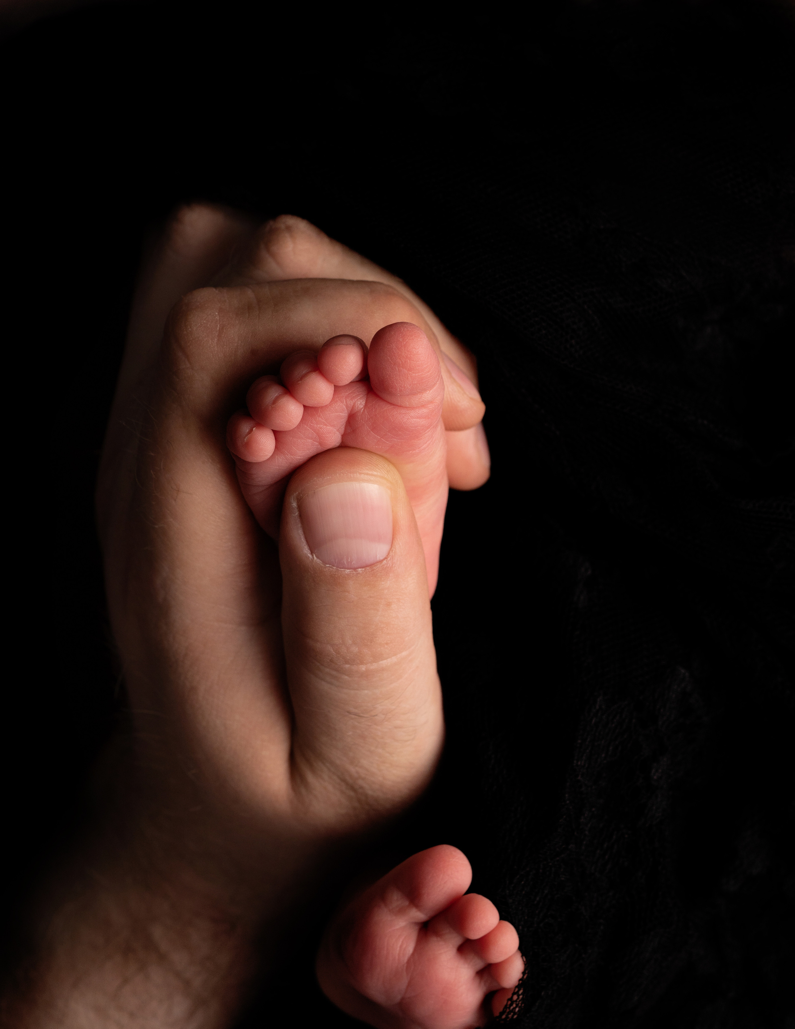 Новорожденные. Фотограф новорожденных, беременности и семейных фотосессий в Томске