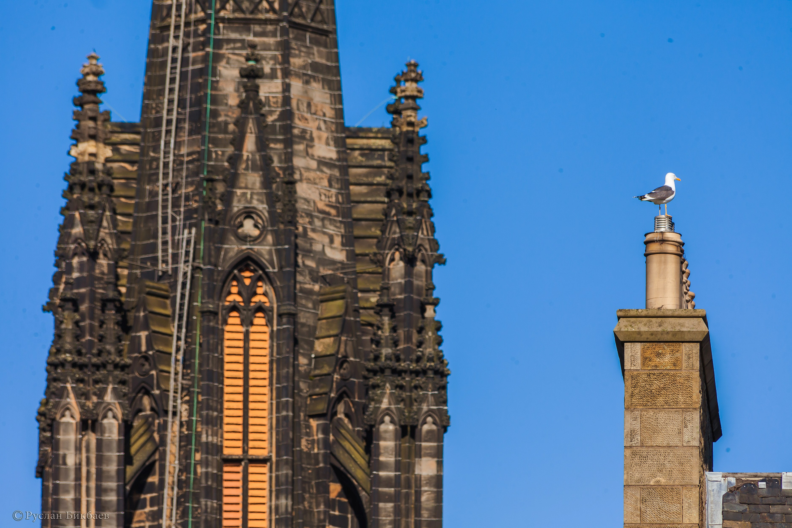 ШОНТЛАДНИЯ / SCOTLAND. Главная