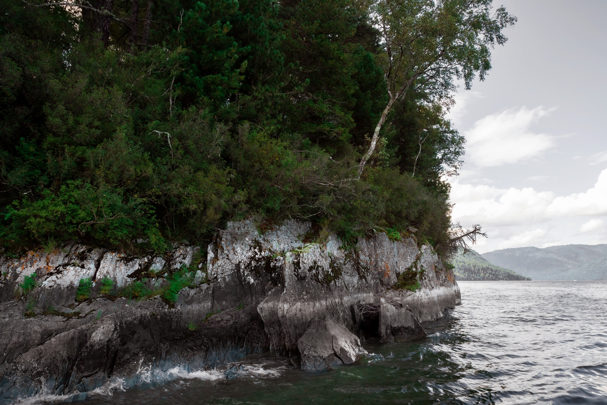 АЛТАЙ 2024 / ALTAI 2024. Главная