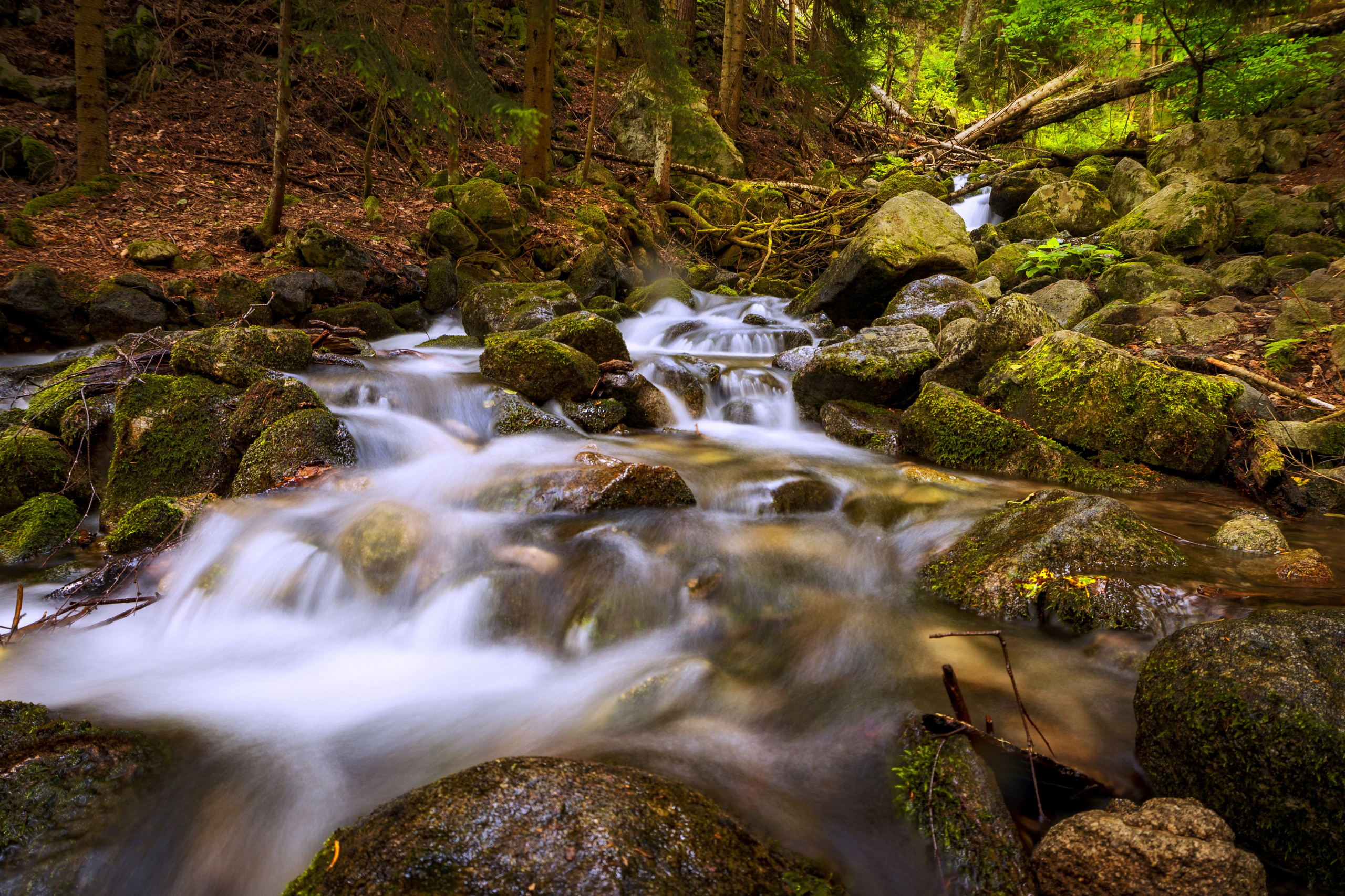 Домбай. Фотохудожник Артём Парамонов