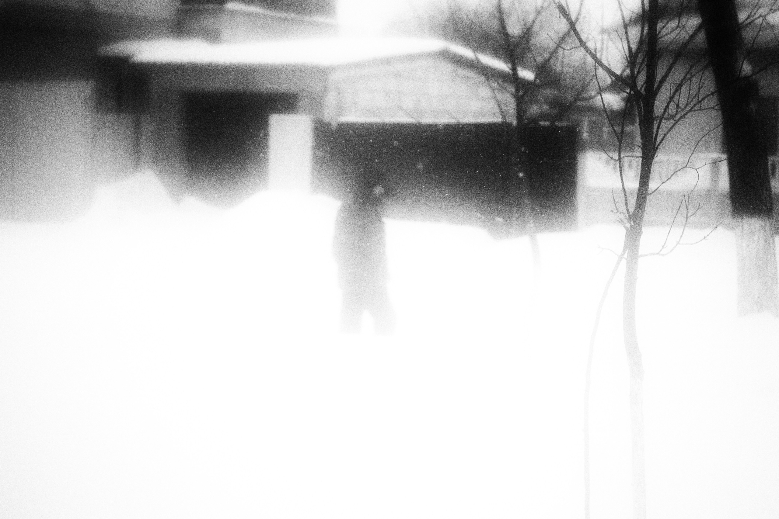 Street photo. Фотограф (photographer) Lischinski Vitaliy