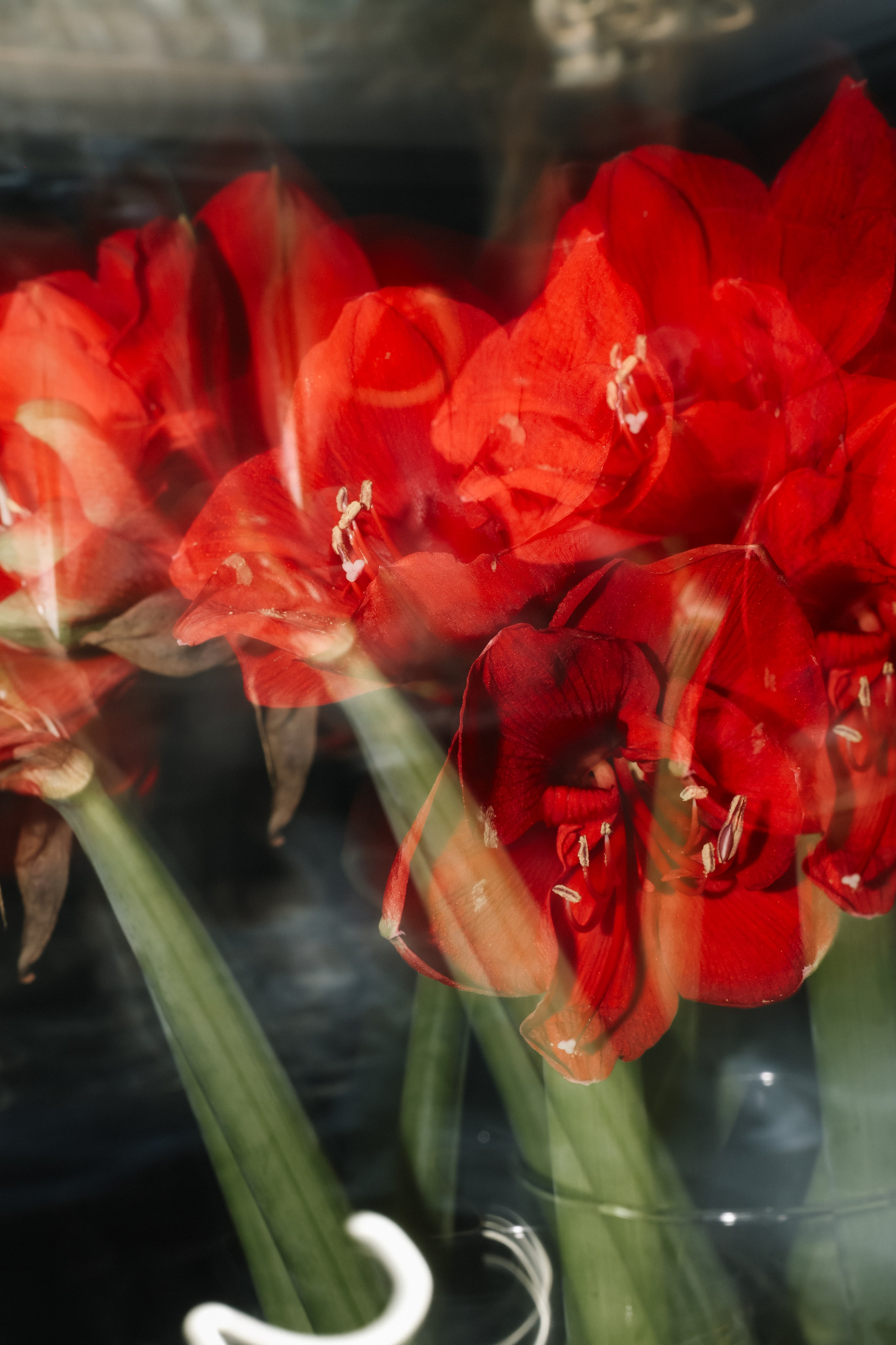 DENIS & ELIZAVETA Барвиха. Kharchenkotatianaweddingphoto