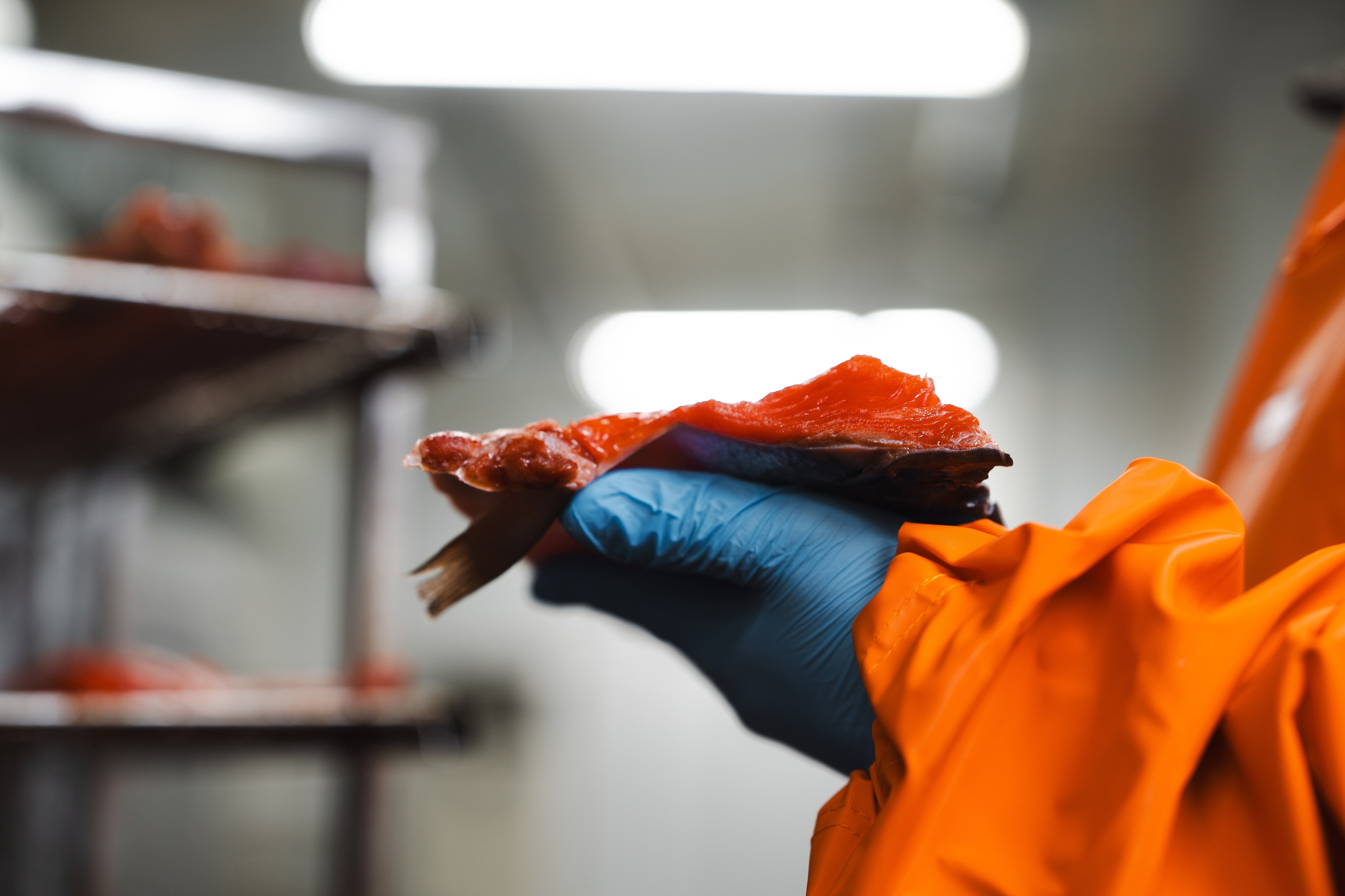 Амурро. Фотограф Хабаровск