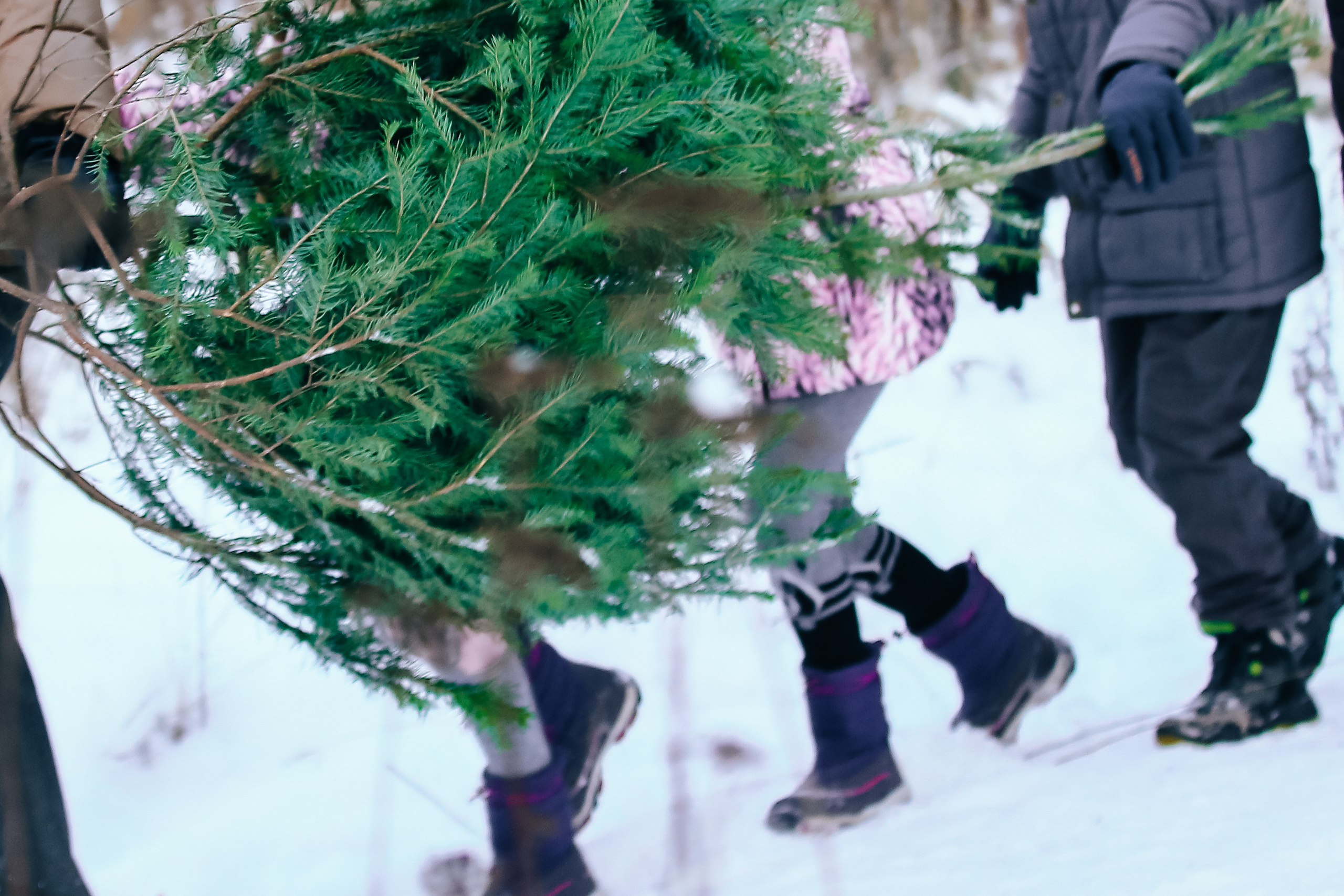 ЗА ЕЛКОЙ. Спортивный и семейный фотограф в Екатеринбурге Ольга Горбунова меня