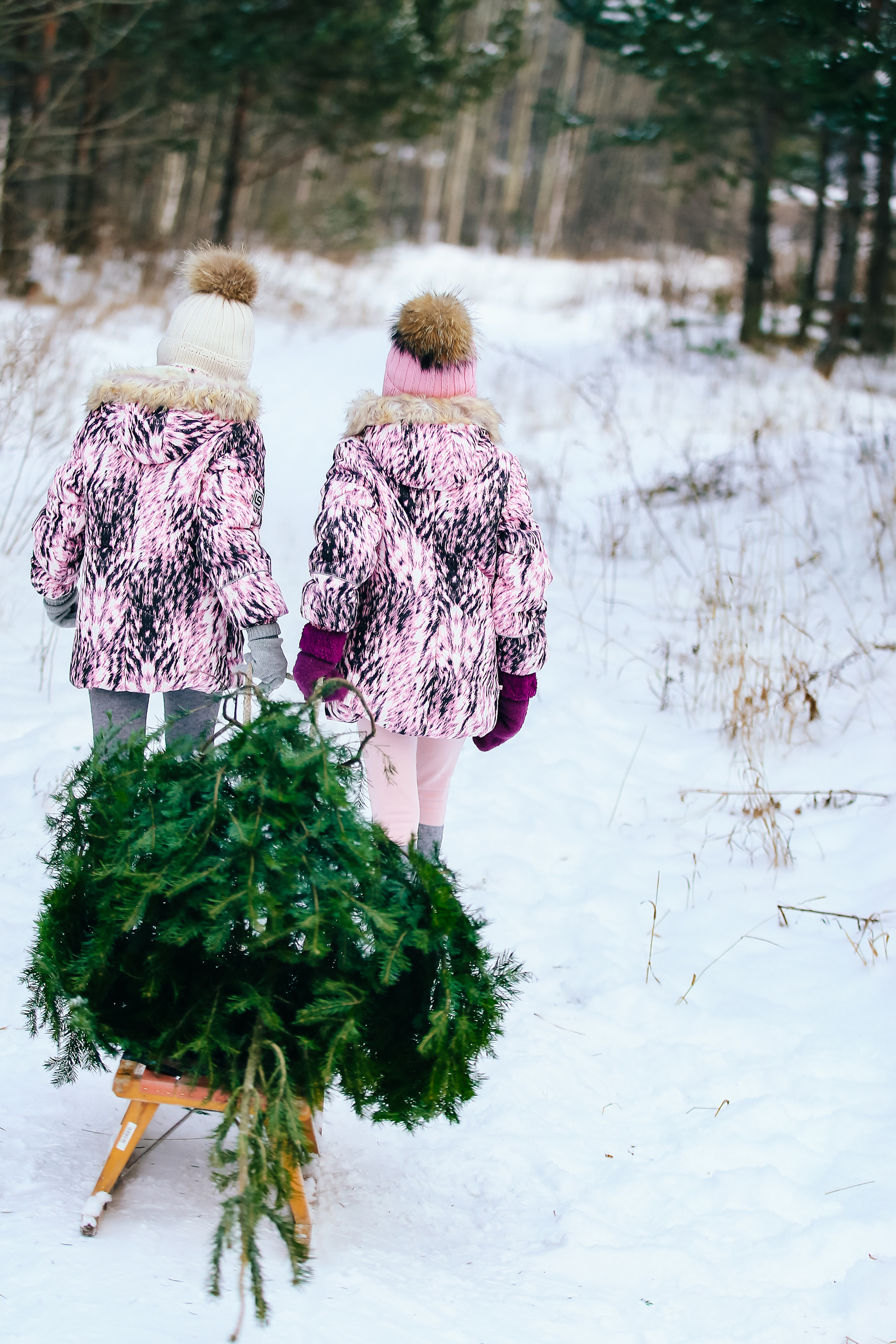 ЗА ЕЛКОЙ. Спортивный и семейный фотограф в Екатеринбурге Ольга Горбунова меня