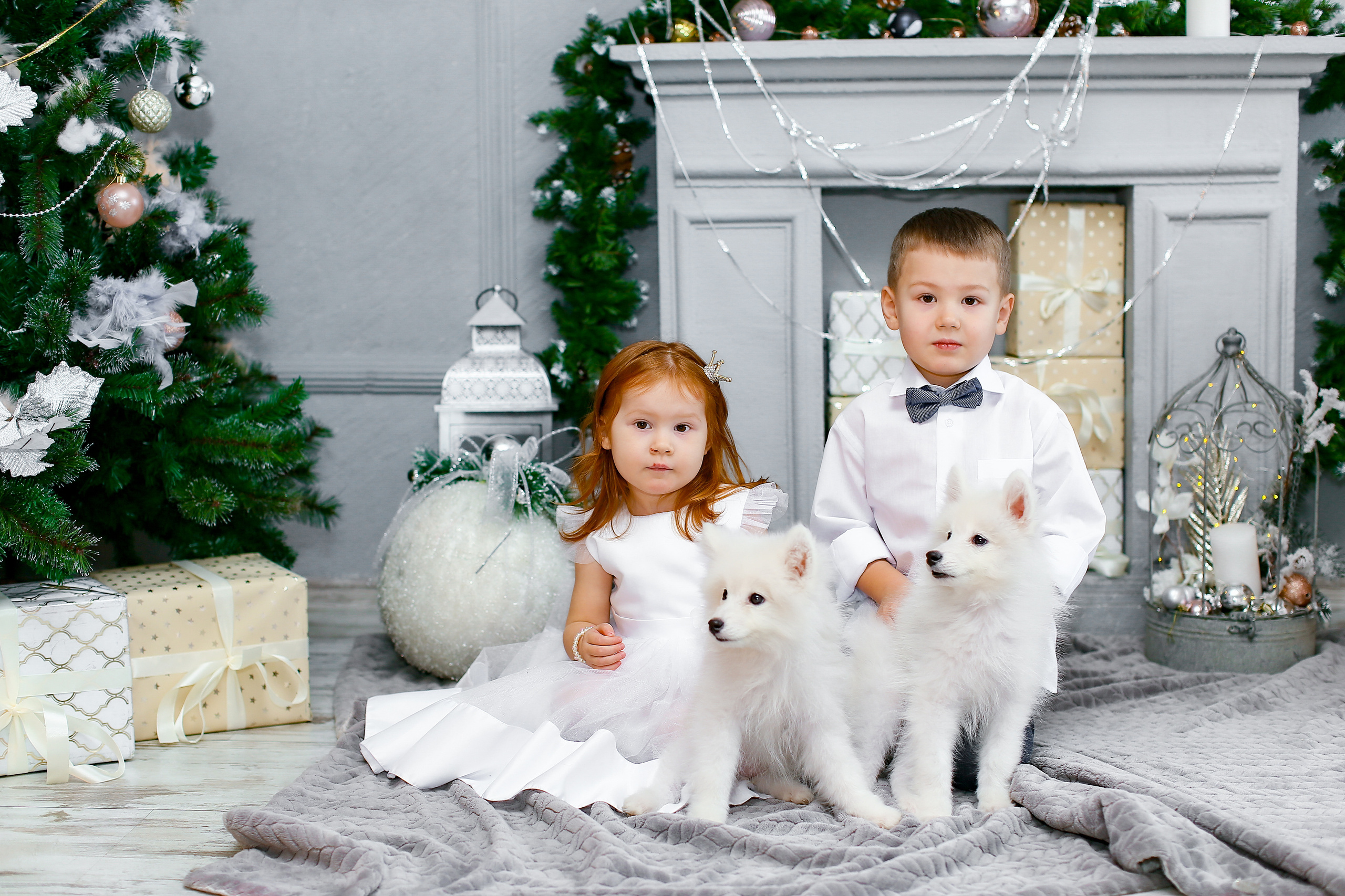 ПУШИСТЫЕ ЩЕНКИ. Спортивный и семейный фотограф в Екатеринбурге Ольга Горбунова меня