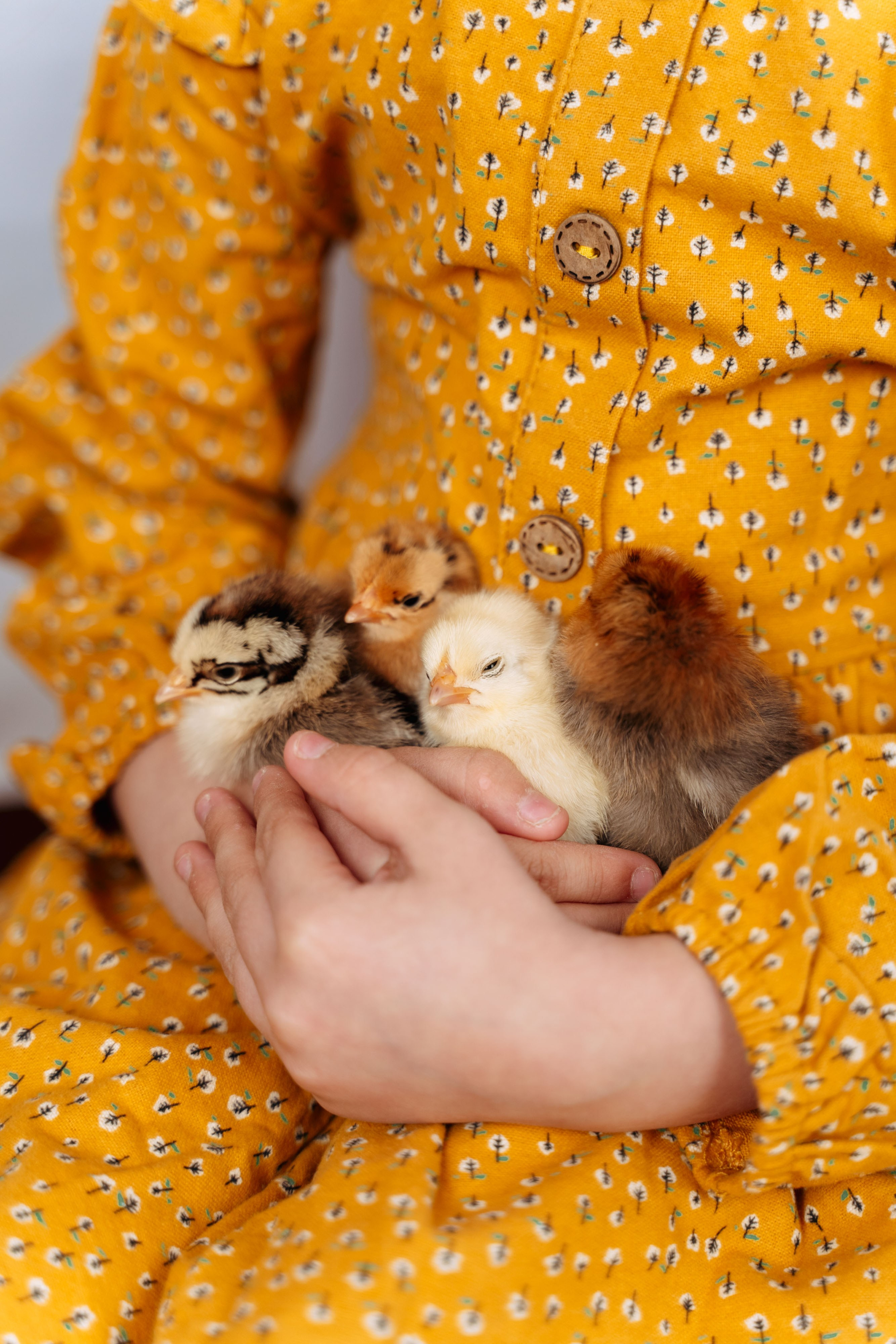 Пасха. Семейный фотограф Новочеркасск