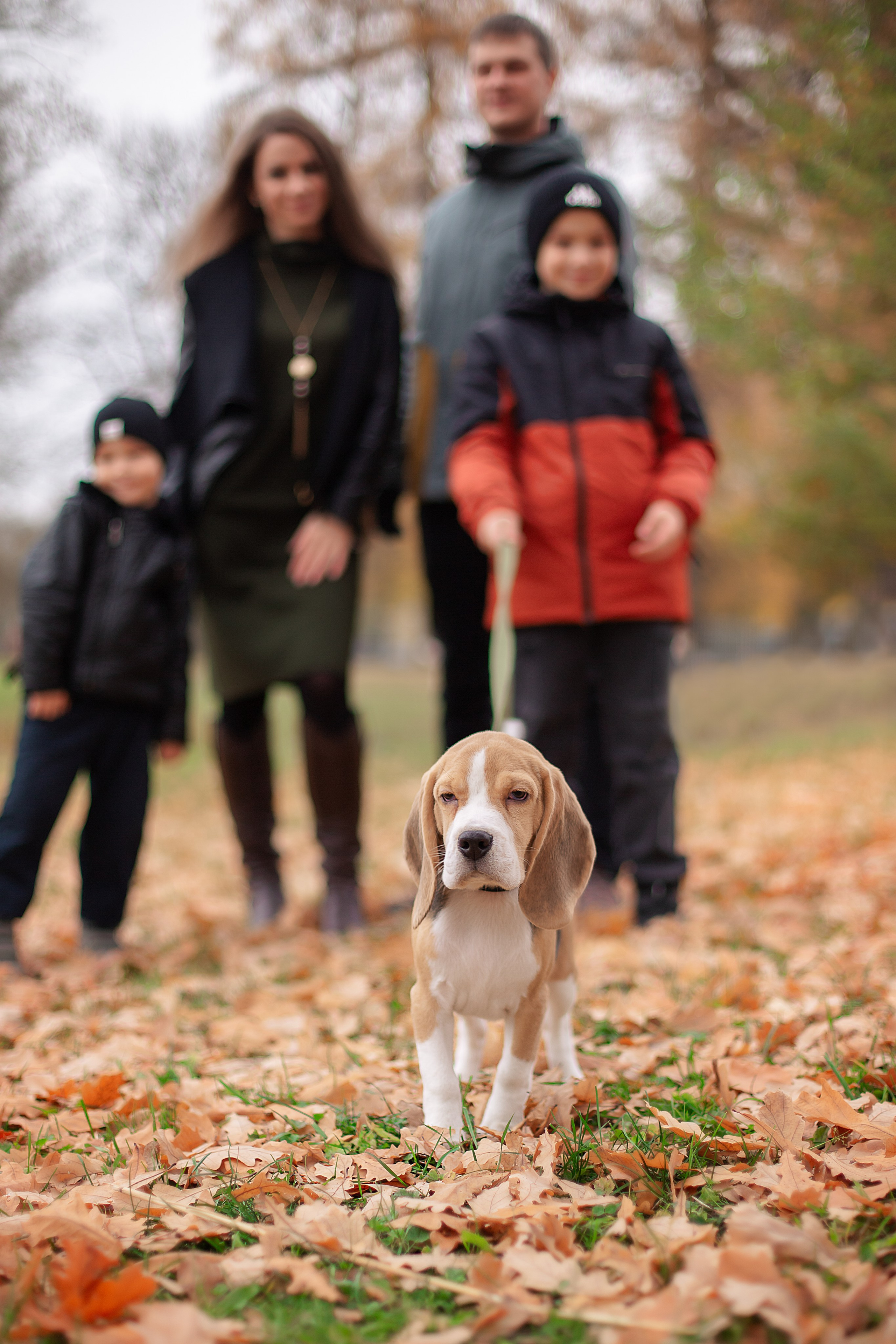 Семейная фотосессия. Фотограф Анастасия, СПб: живые семейные и женские фотосессии без позирования, наполненные эмоциями
