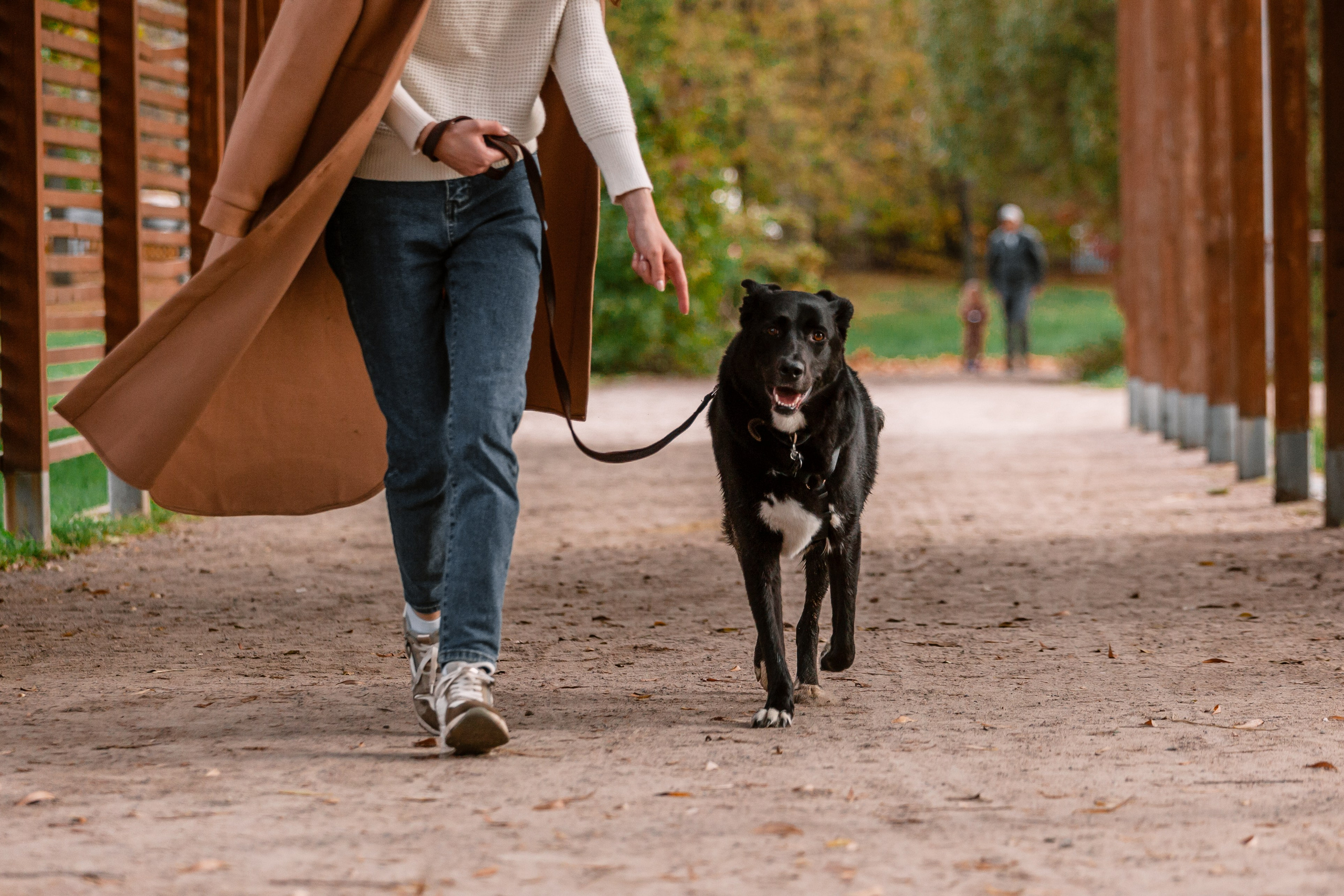 Юля и Фортуна. Фотограф-анималист Татьяна Степанова