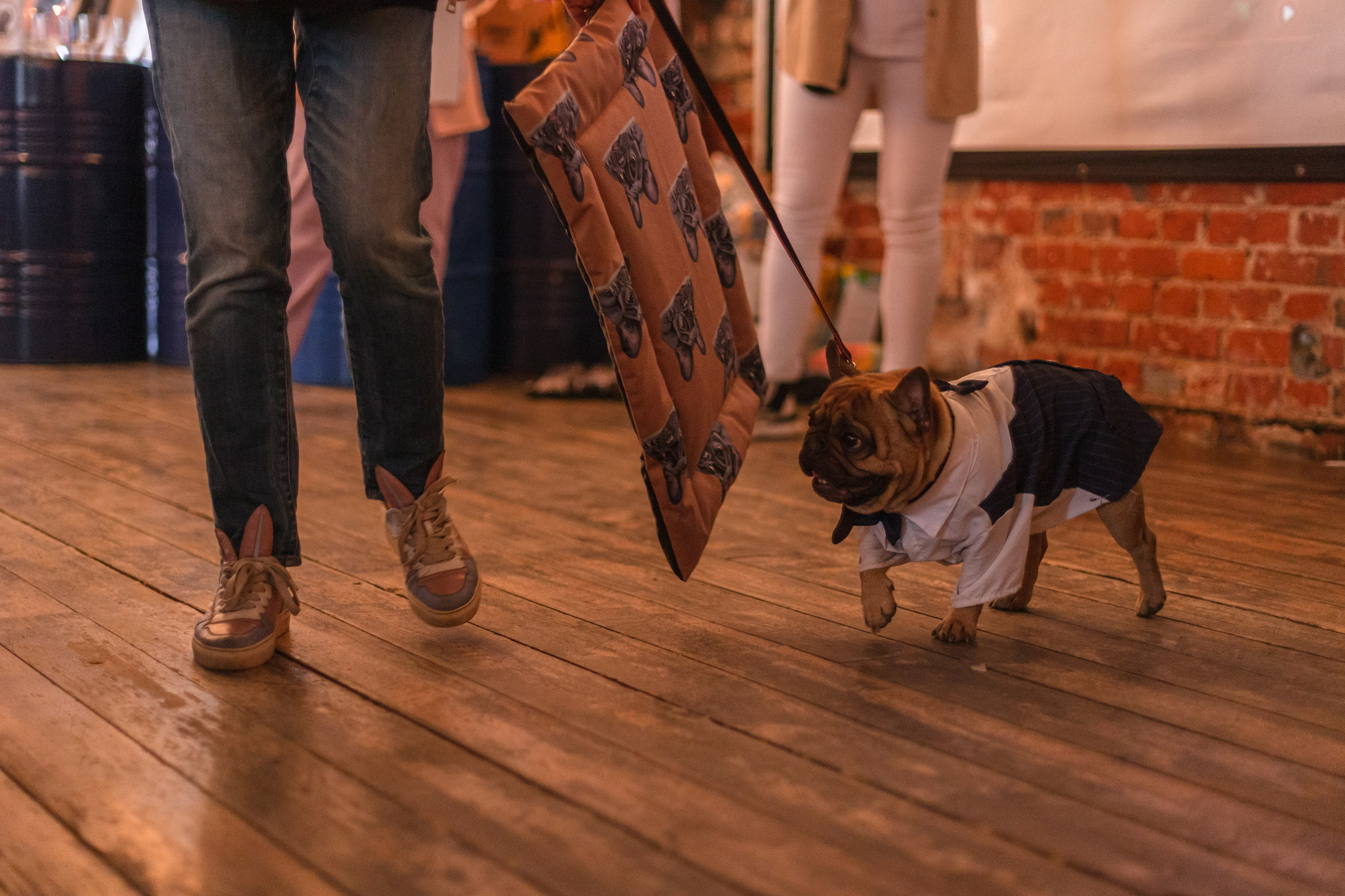 Бульбалл 23.04.2023. Фотограф-анималист Татьяна Степанова