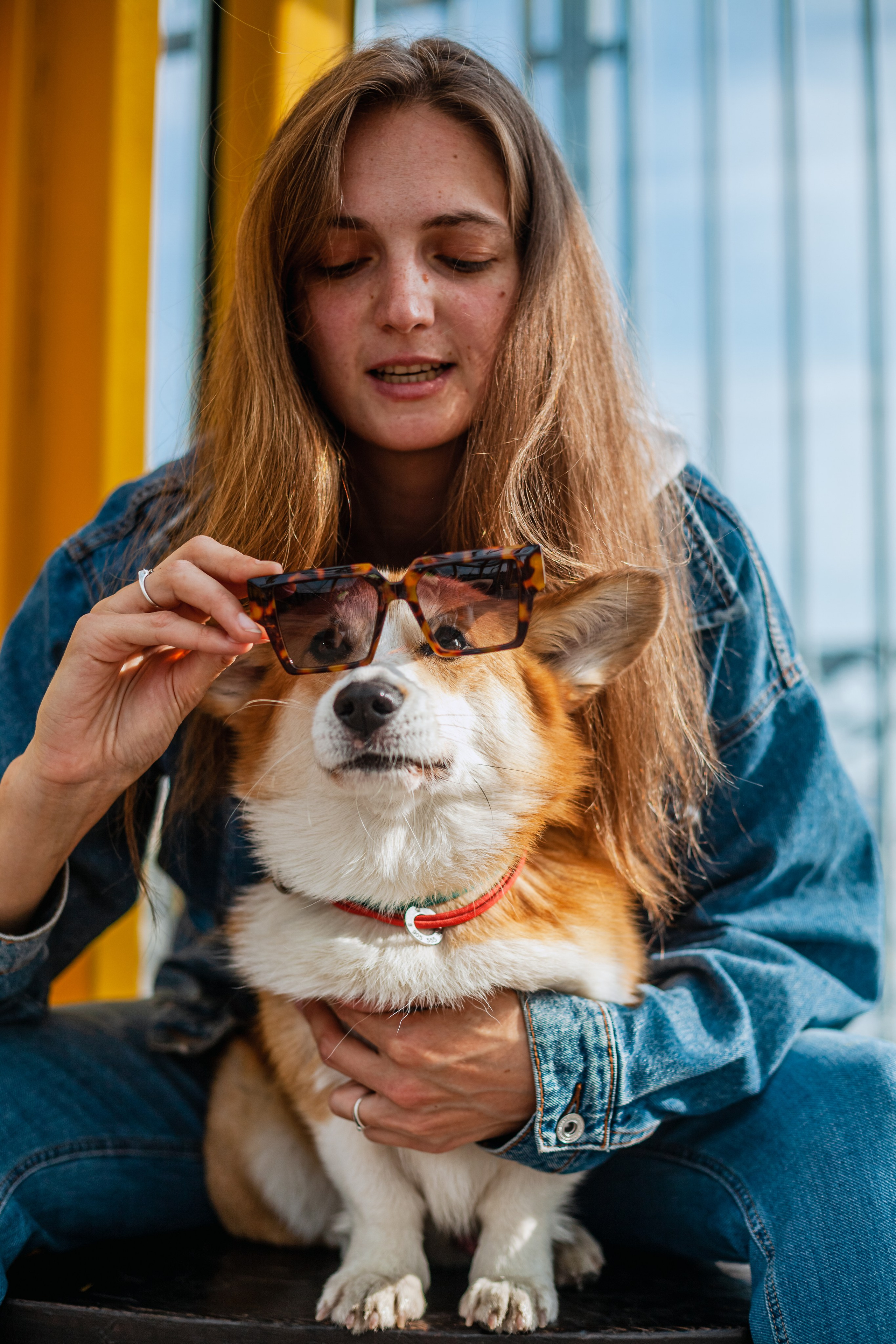 Андреевский мост. Фотограф-анималист Татьяна Степанова