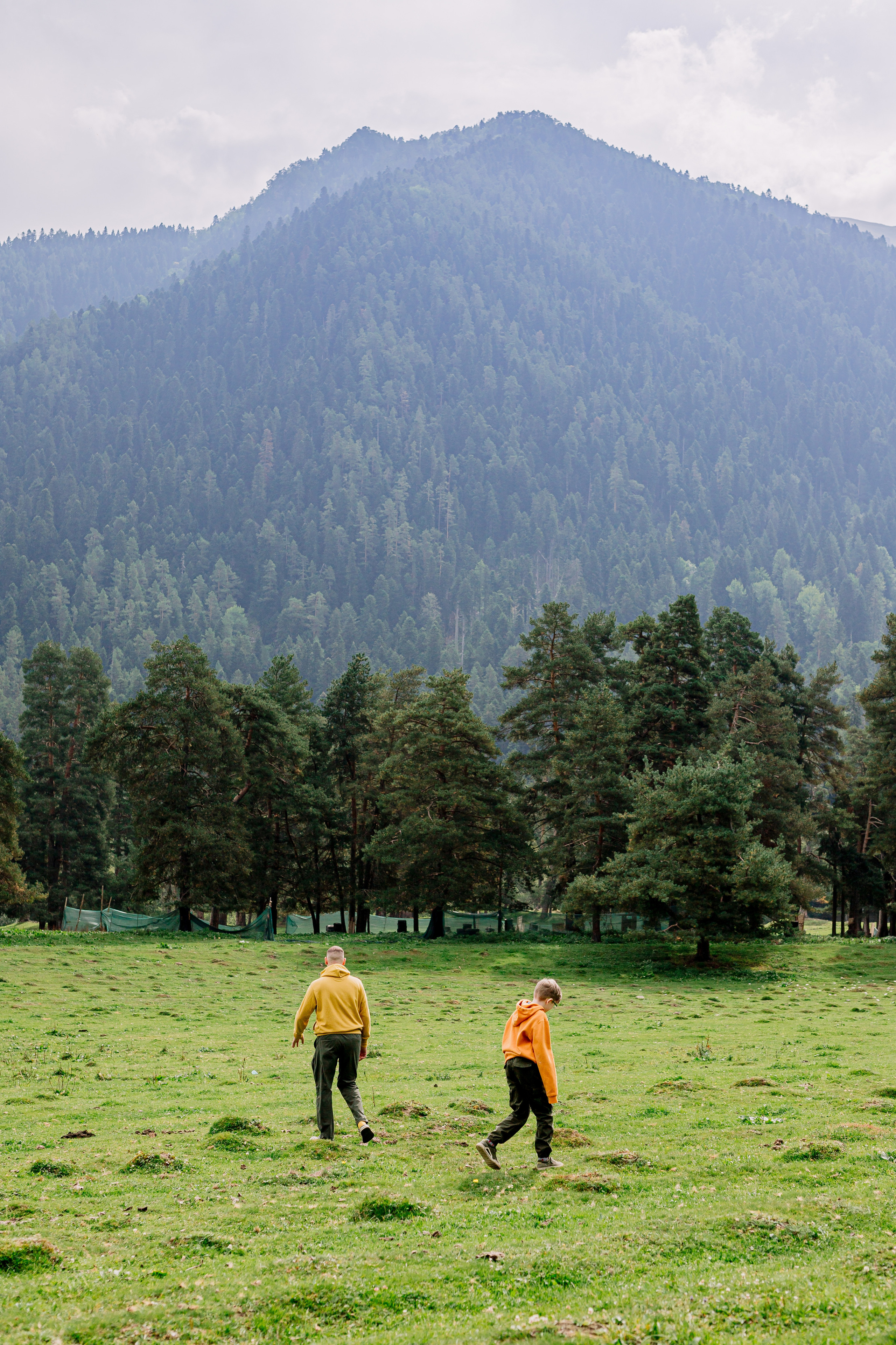 Архыз, горы, лес, семейная съемка в горах, Выездная съемка, фотограф на выезд, семейный фотограф в Астрахани, семейный фотограф, два брата гуляют в горах, в желтых свитерах, 