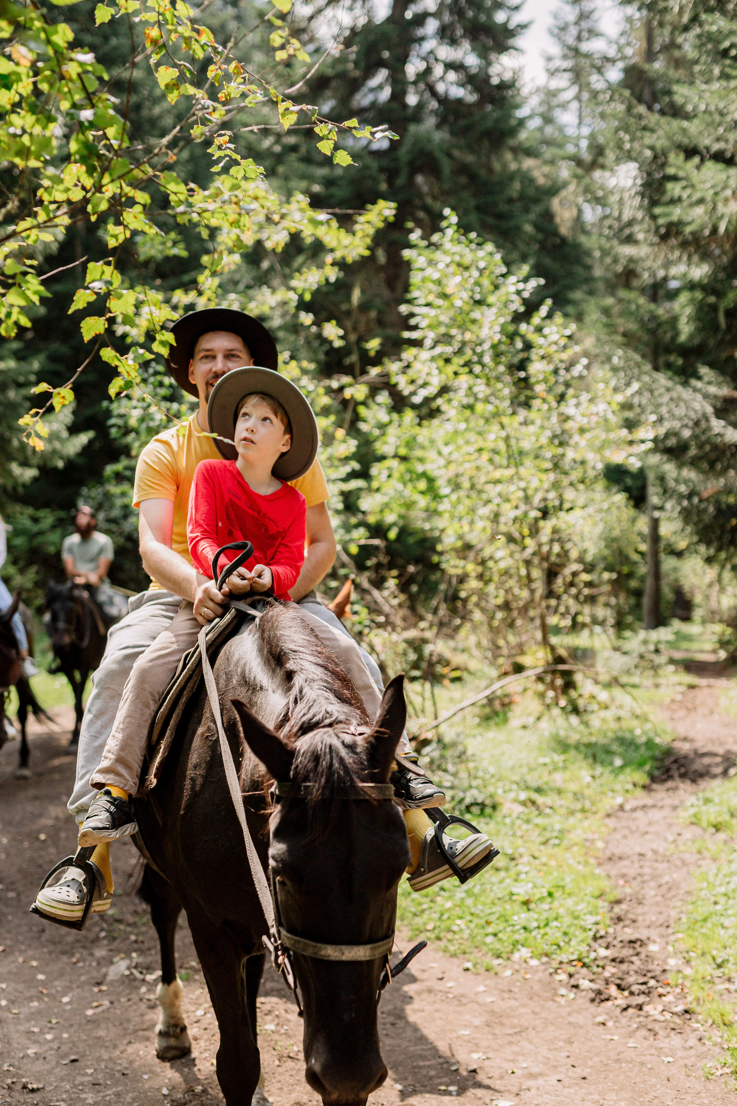Архыз, горы, лес, семейная съемка в горах, Выездная съемка, фотограф на выезд, семейный фотограф в Астрахани, семейный фотограф, прогулка на лошадях, фотосессия с лошадями, 