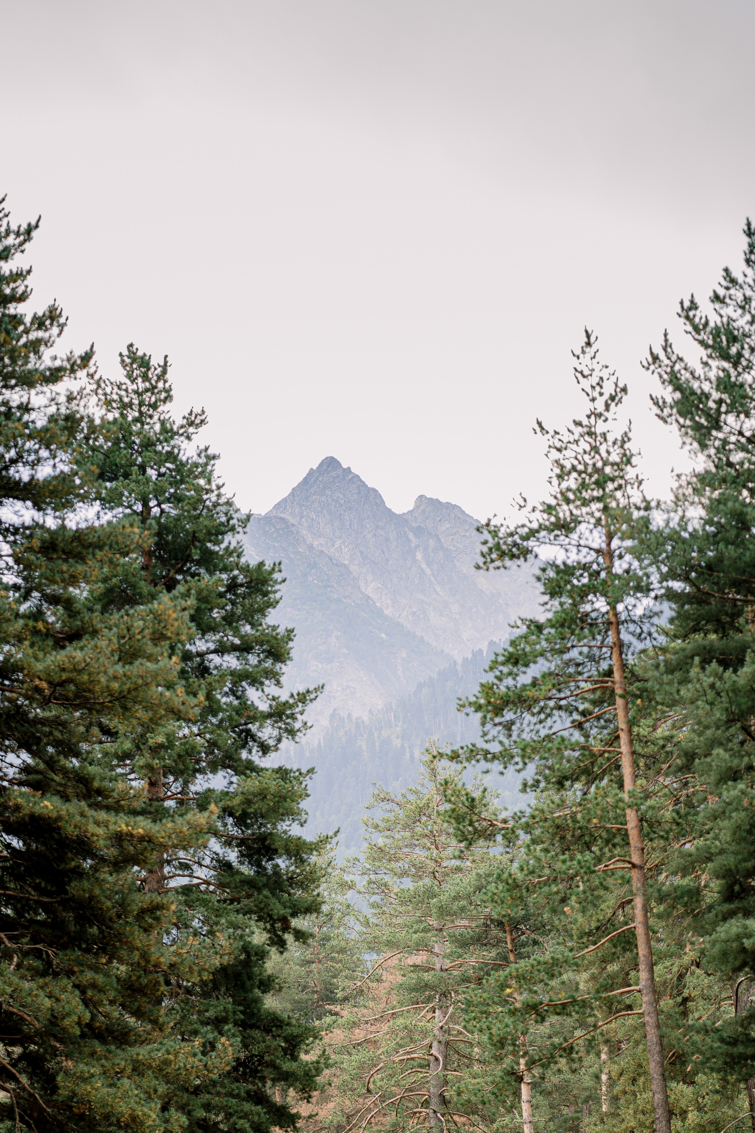 Архыз, горы, лес, семейная съемка в горах,