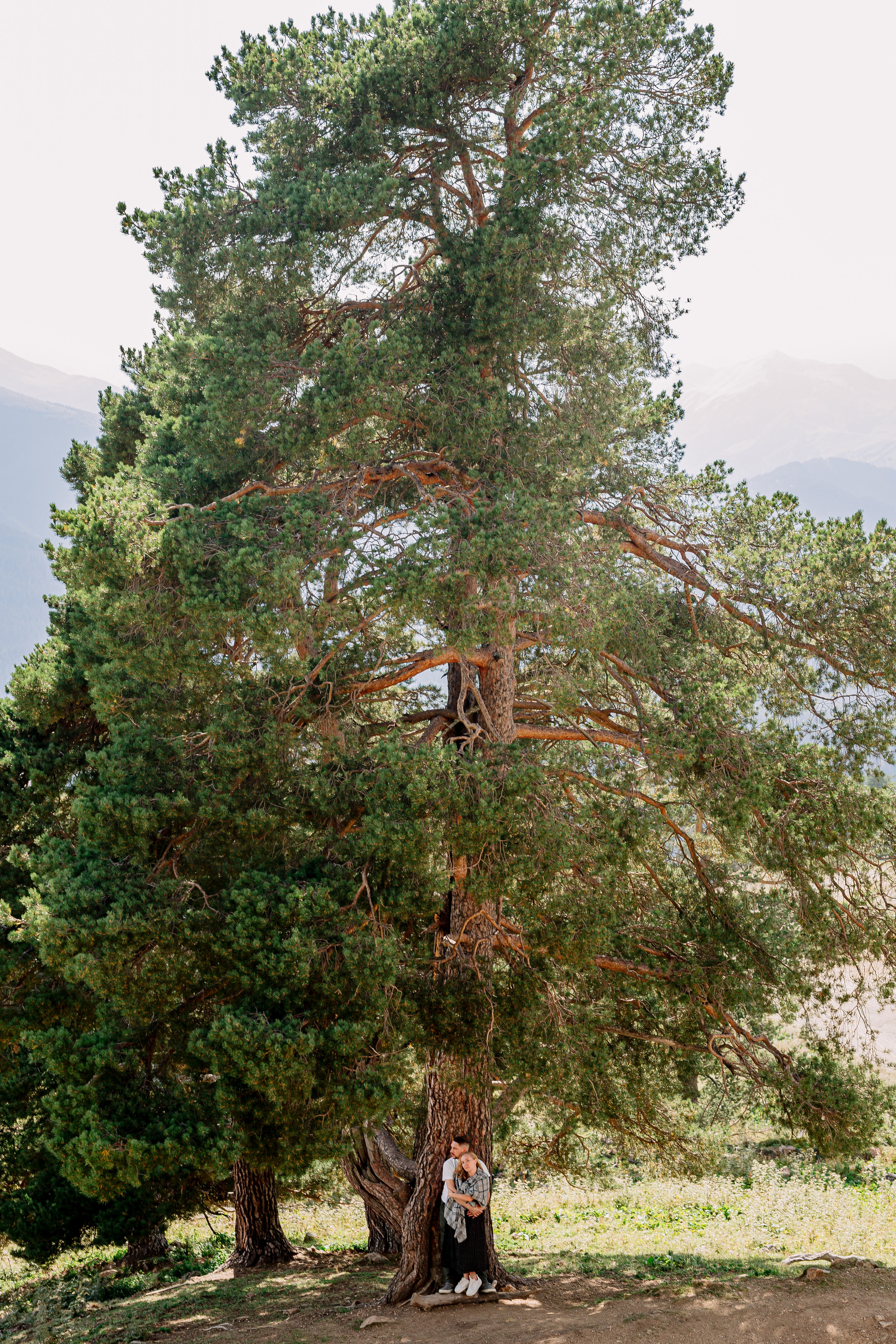 Архыз, горы, лес, семейная съемка в горах,  Выездная съемка, фотограф на выезд, семейный фотограф в Астрахани, семейный фотограф,  фотография пары под очень большим деревом