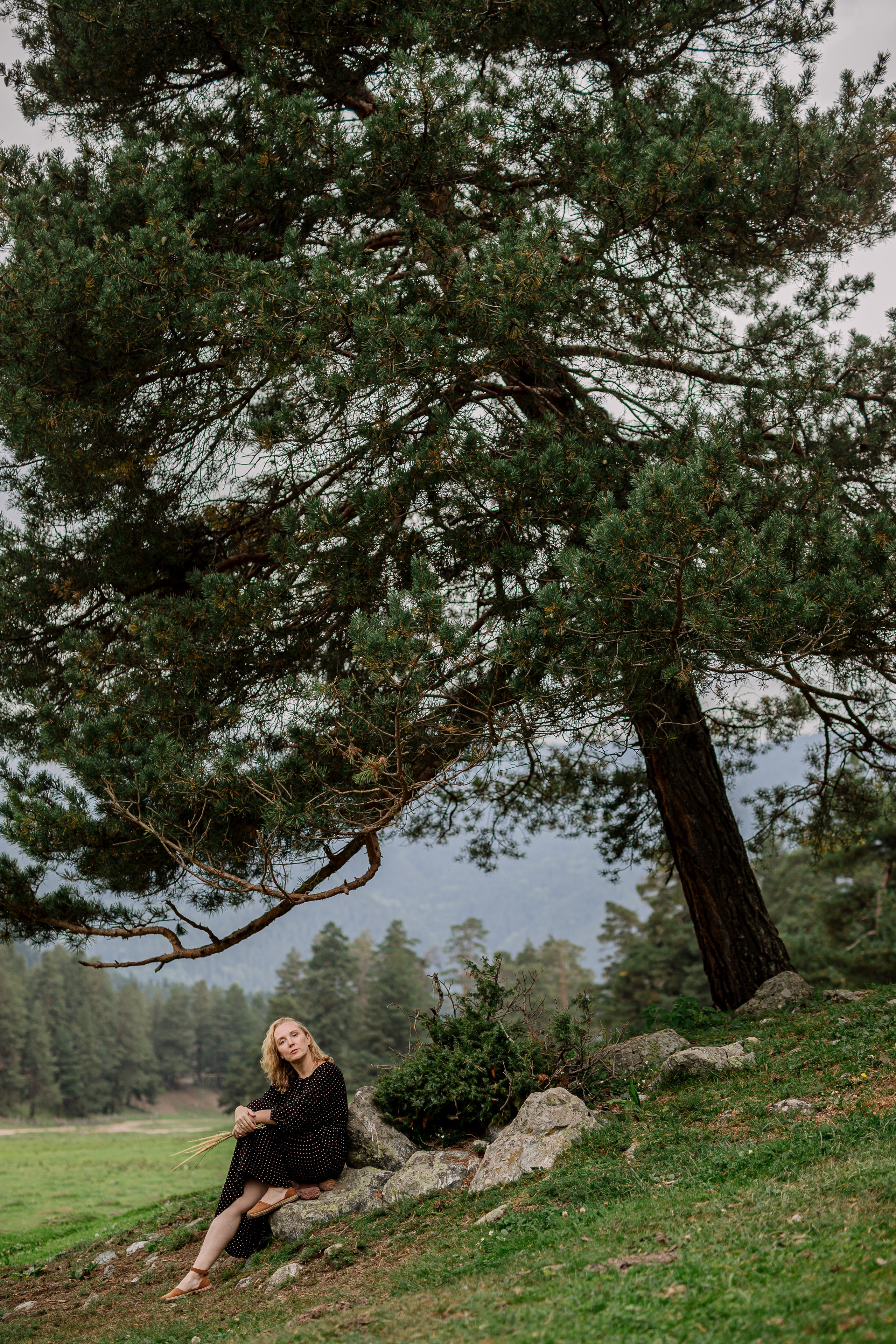 Архыз, горы, лес, семейная съемка в горах, Выездная съемка, фотограф на выезд, семейный фотограф в Астрахани, семейный фотограф,  девушка сидит под деревом