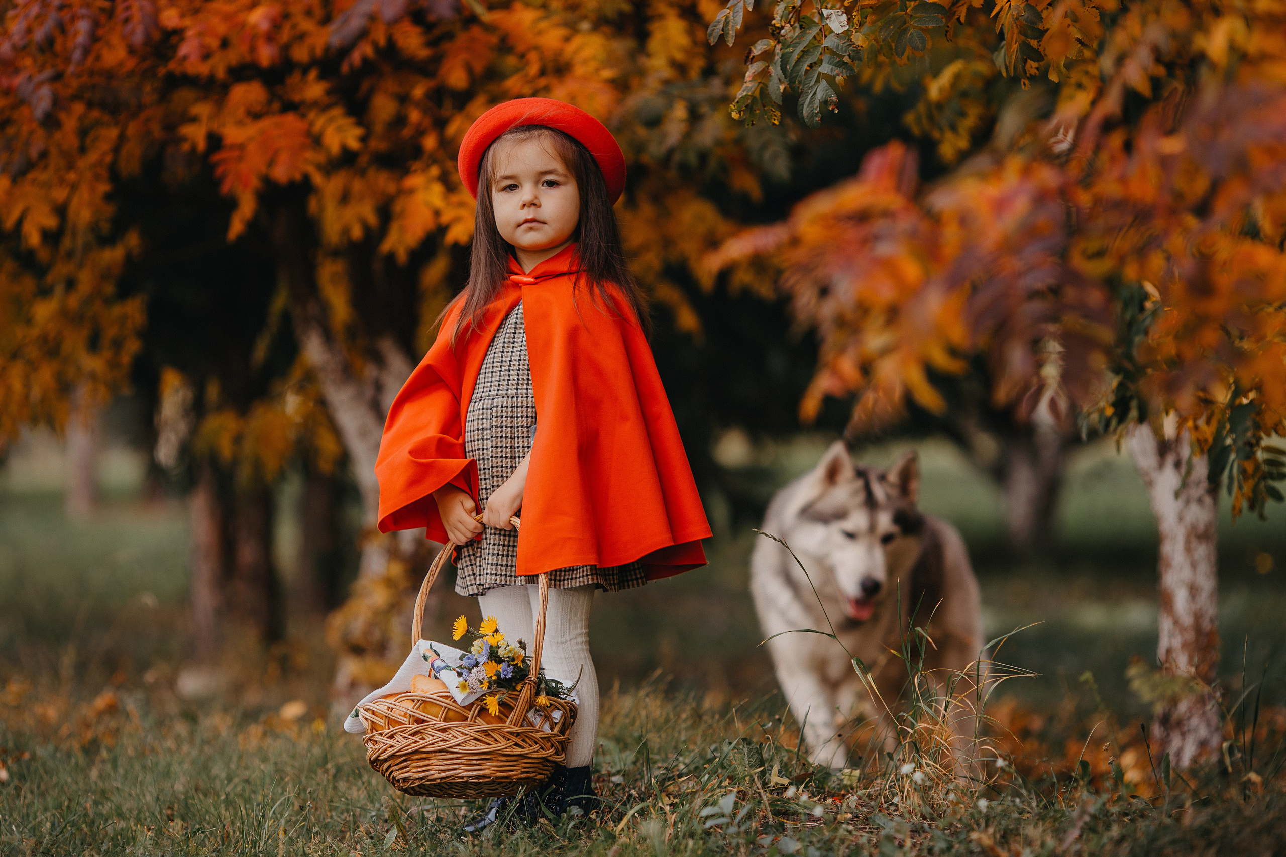 Красная шапочка. Свадебный, семейный и детский фотограф Набережные Челны