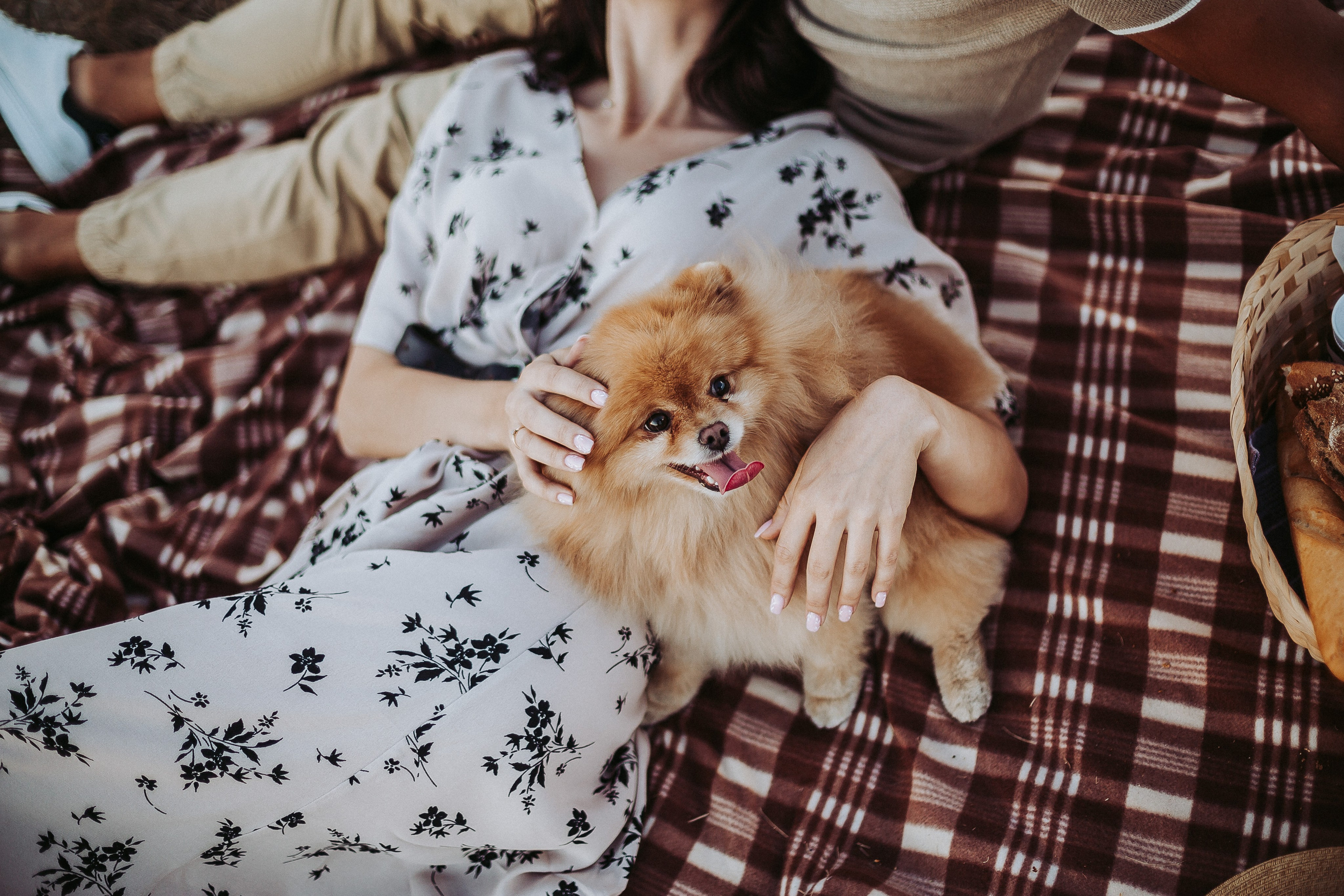 Lovestory М|А. Свадебное фото свадебное видео фотограф видеограф Липецк Воронеж
