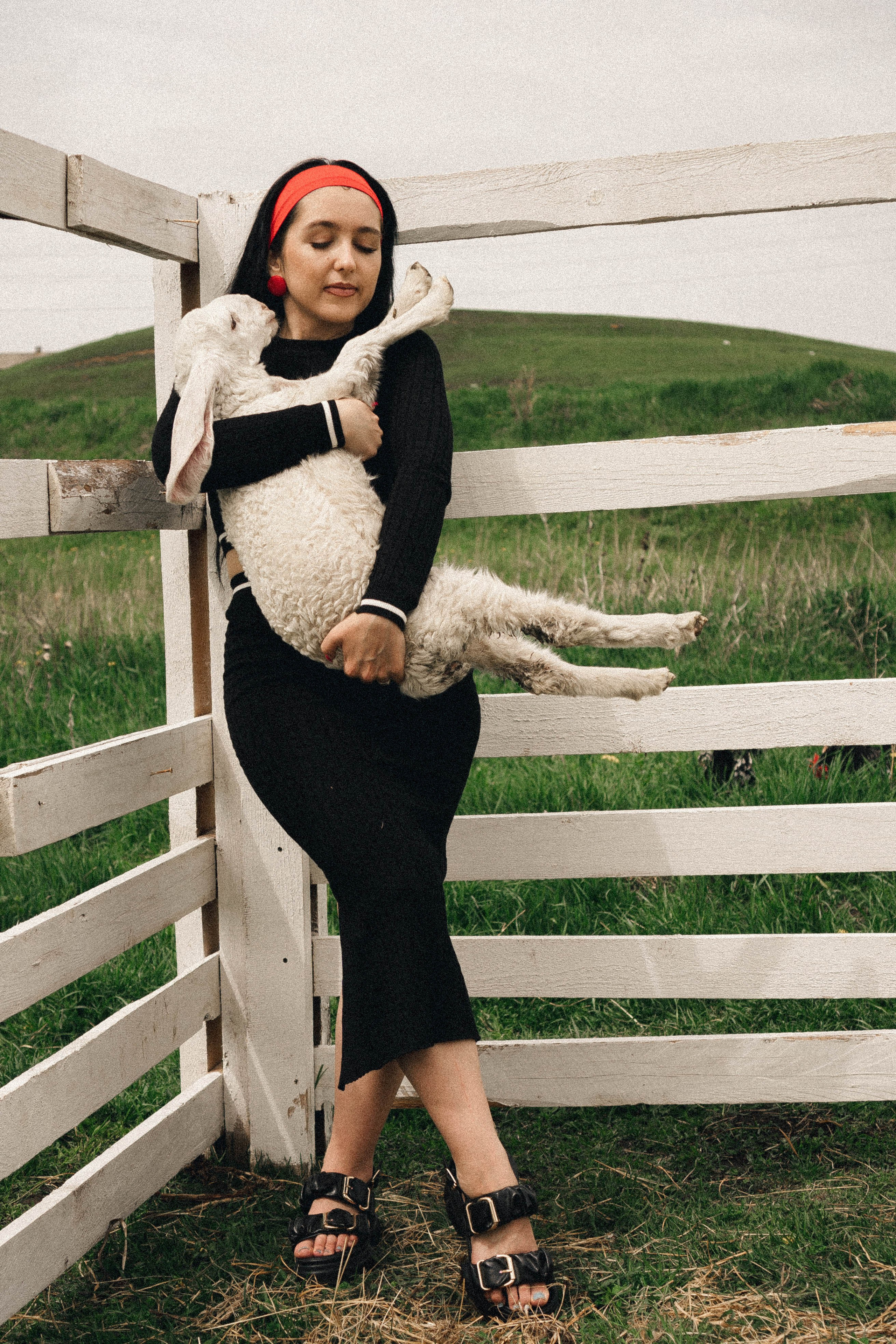 Ферма Альпак. Профессиональный фотограф, Санкт-Петербург — Виктория Богомолова