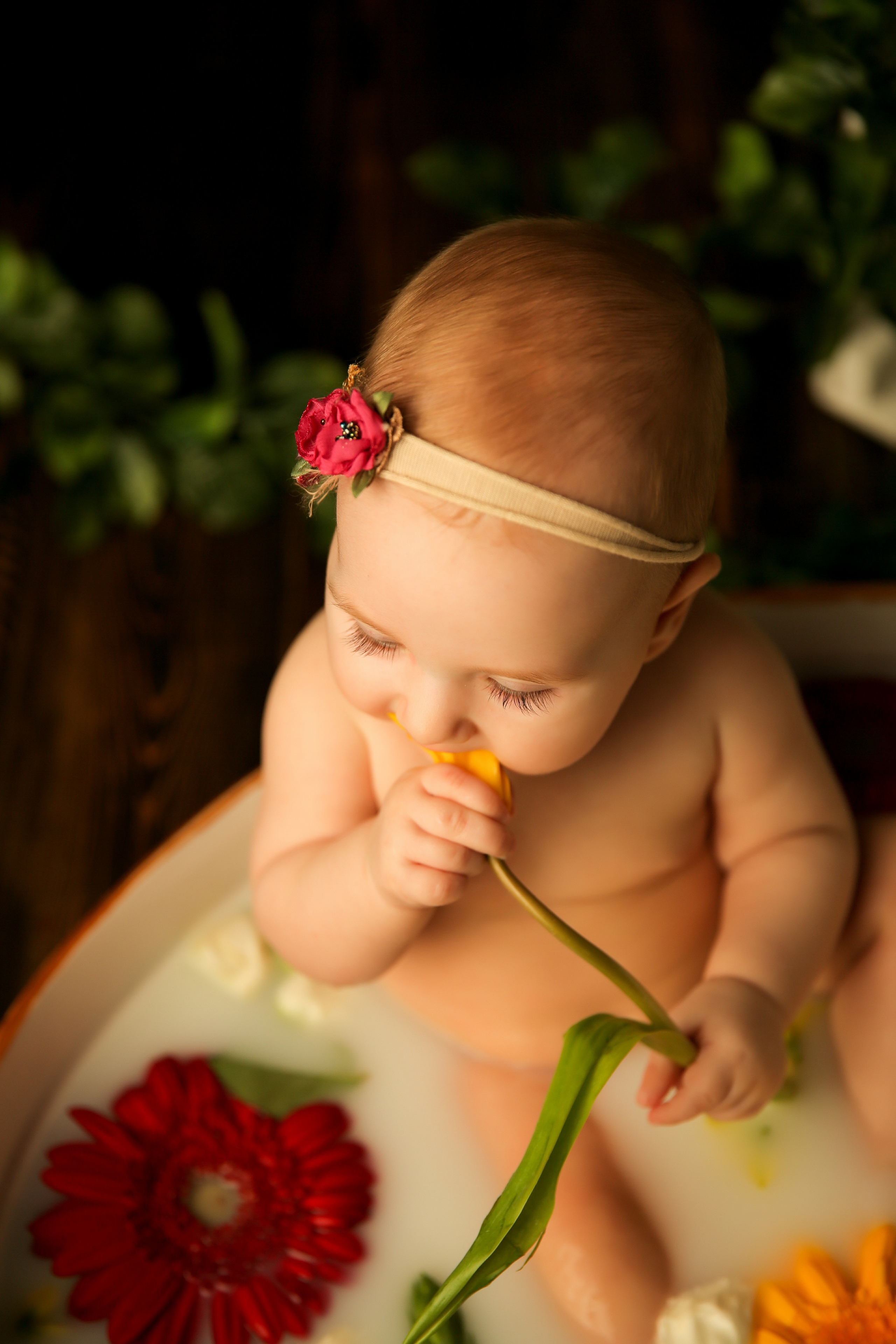 Ванночка девочки. Фотограф новорожденных. Семейный и детский фотограф в городе Сургуте