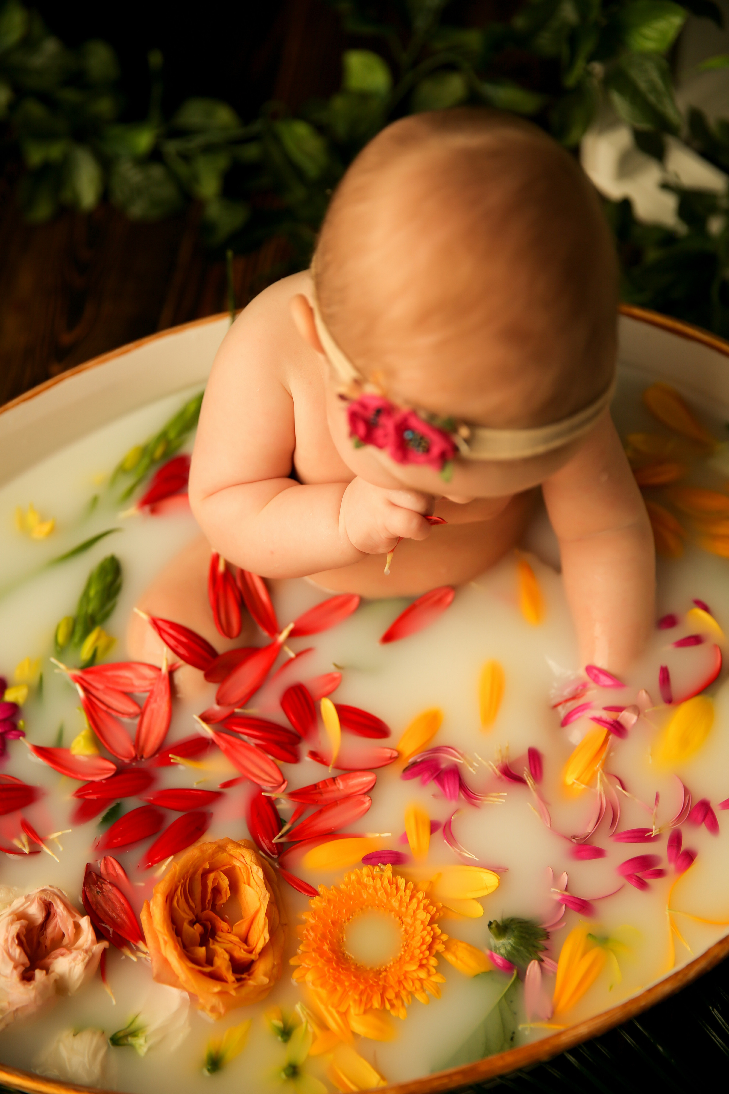 Ванночка девочки. Фотограф новорожденных. Семейный и детский фотограф в городе Сургуте