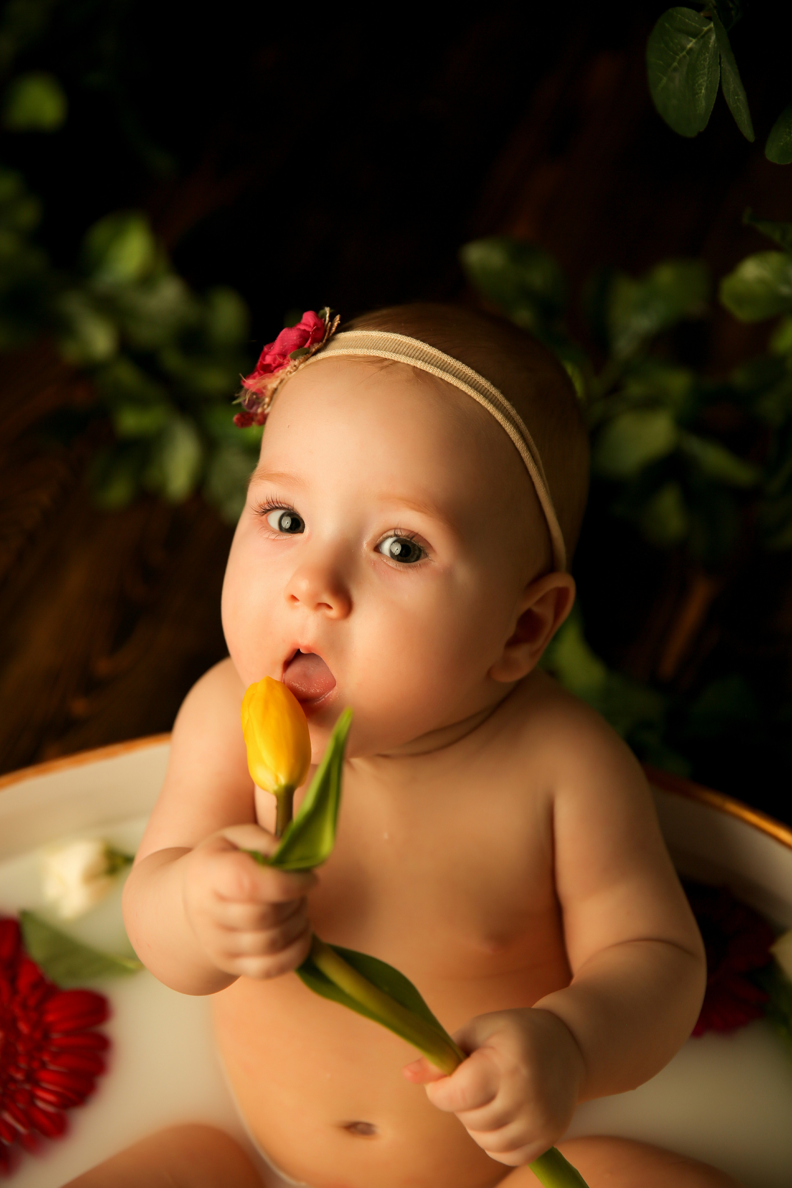 Ванночка девочки. Фотограф новорожденных. Семейный и детский фотограф в городе Сургуте