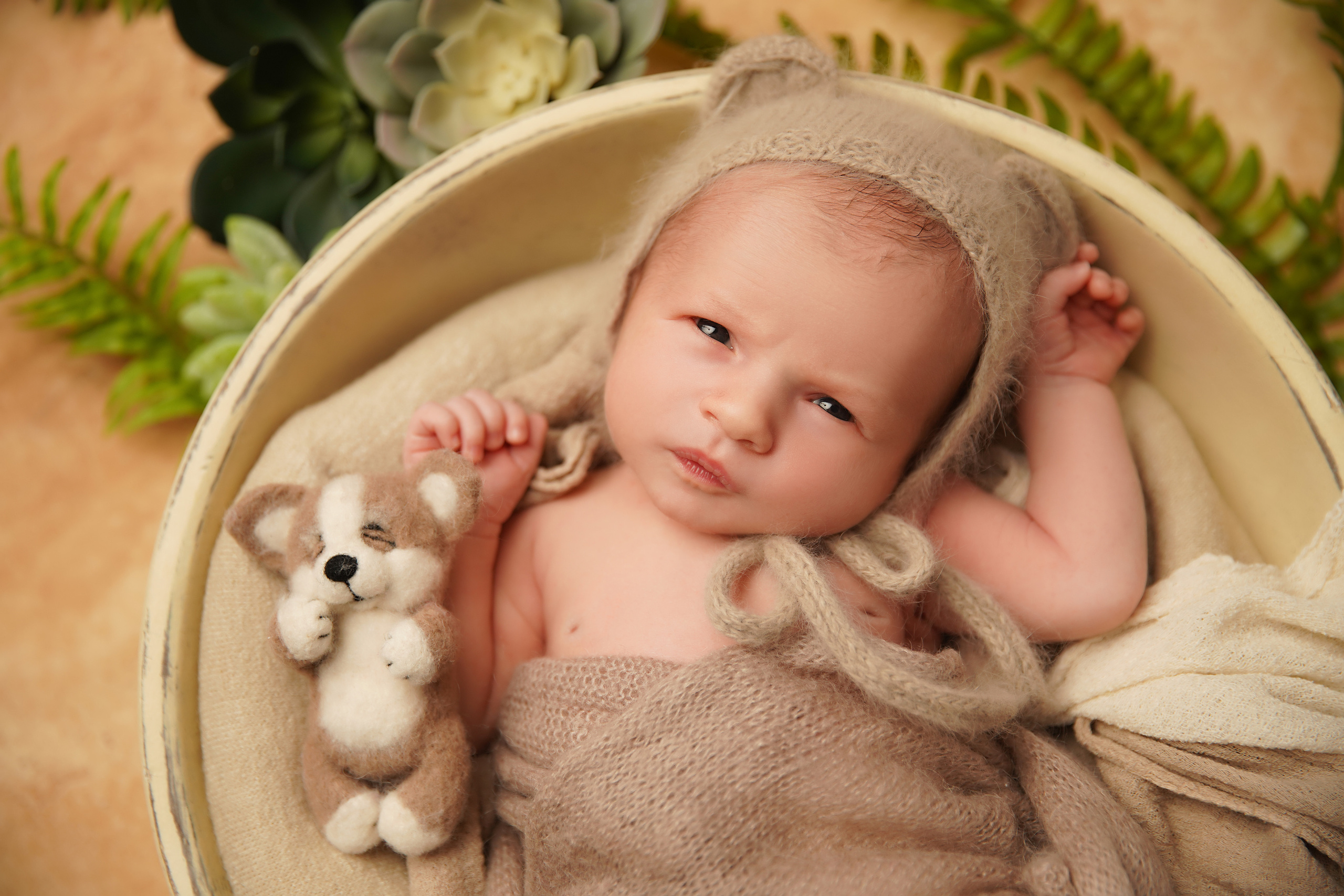 Мальчики. Фотограф новорожденных. Семейный и детский фотограф в городе Сургуте