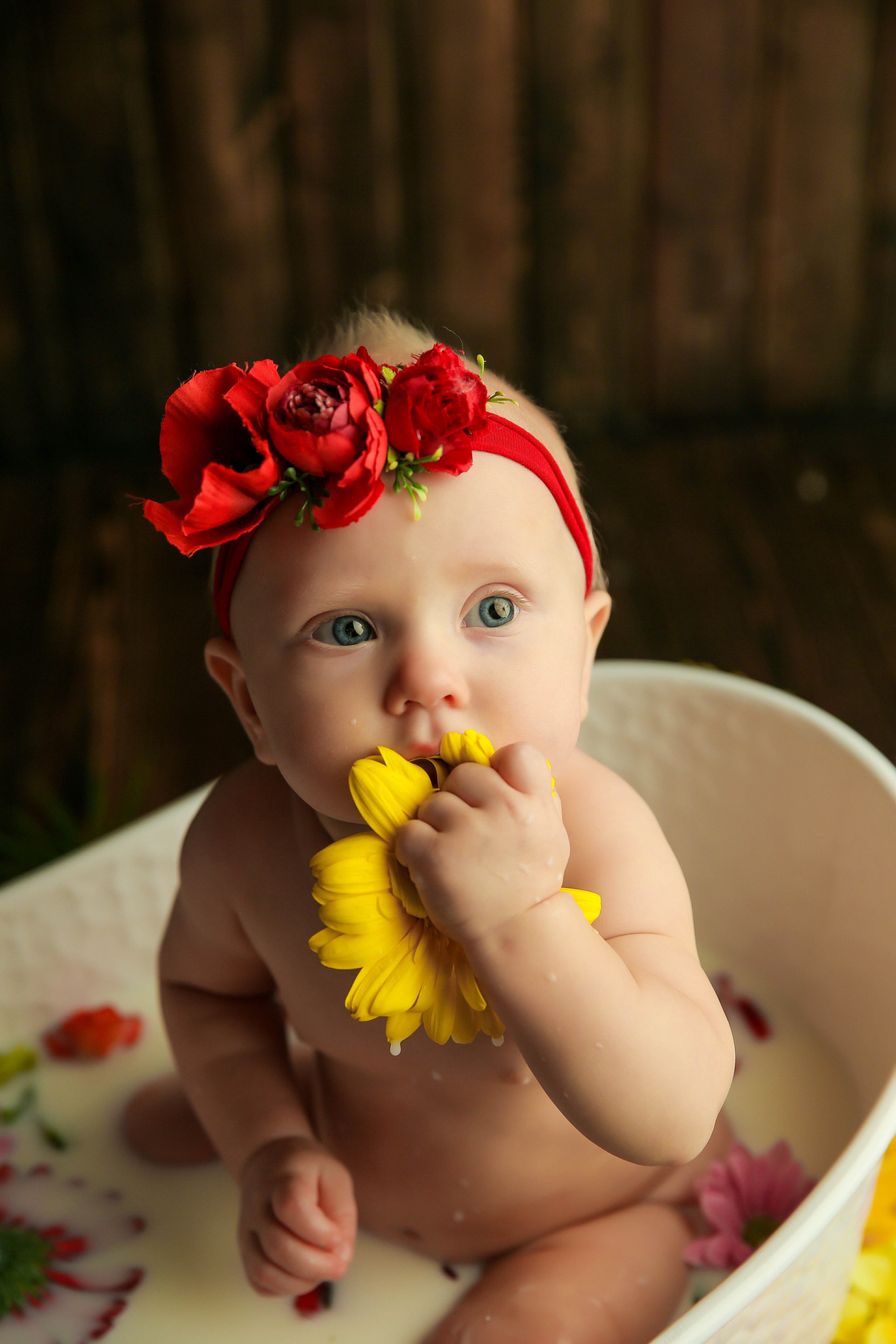 Ванночка девочки. Фотограф новорожденных. Семейный и детский фотограф в городе Сургуте