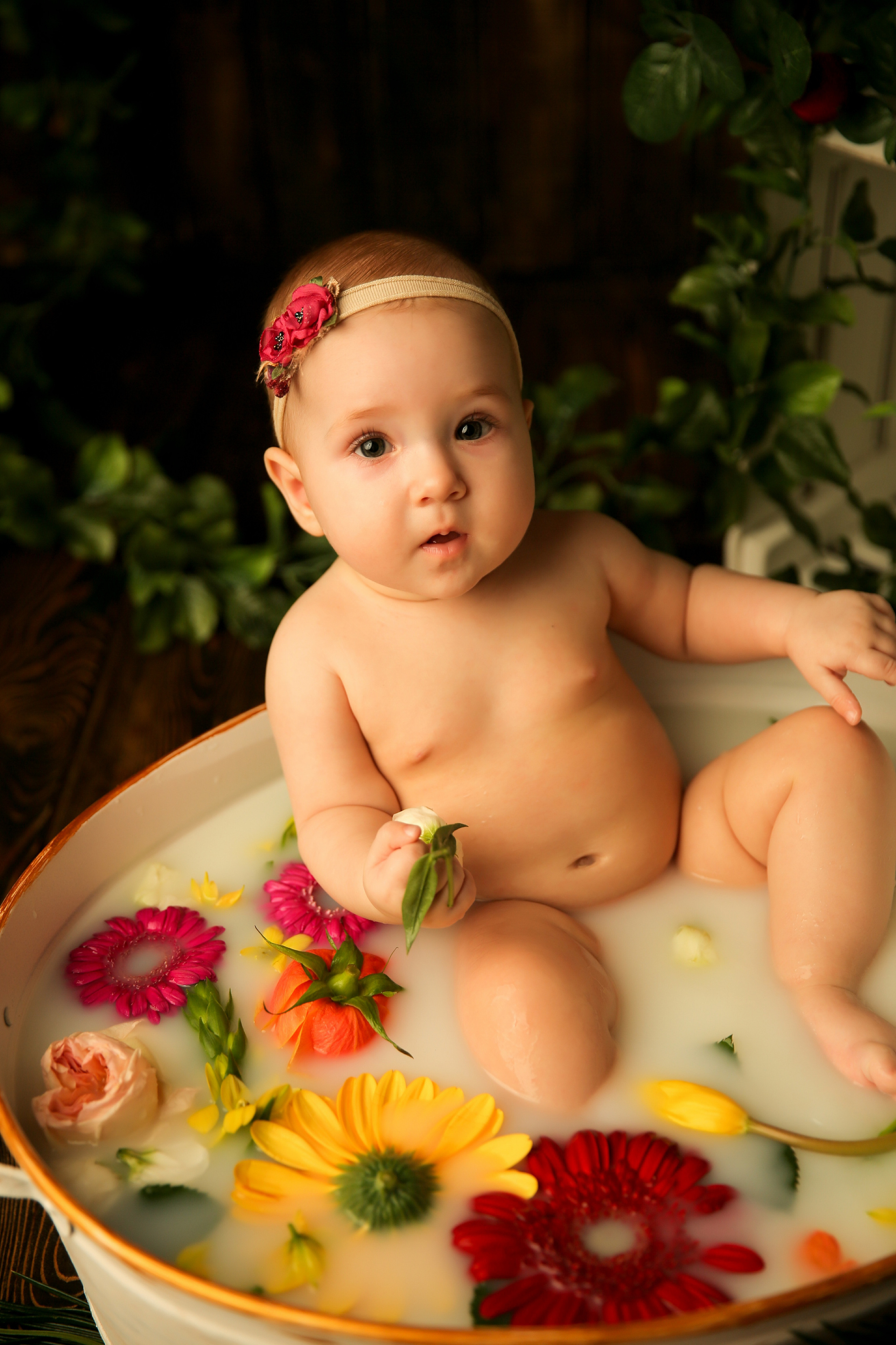 Ванночка девочки. Фотограф новорожденных. Семейный и детский фотограф в городе Сургуте