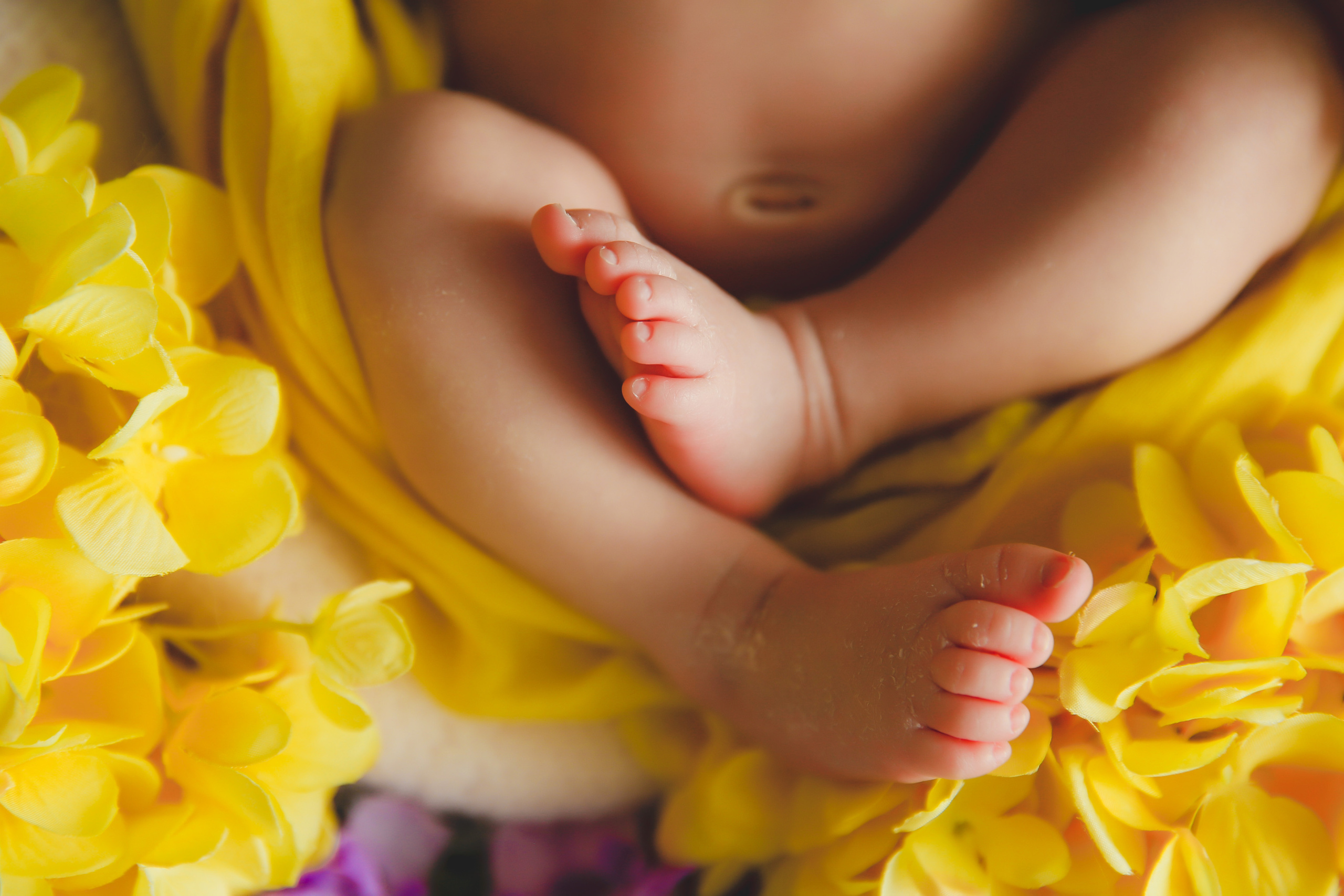 Newborm начало. Фотограф новорожденных. Семейный и детский фотограф в городе Сургуте