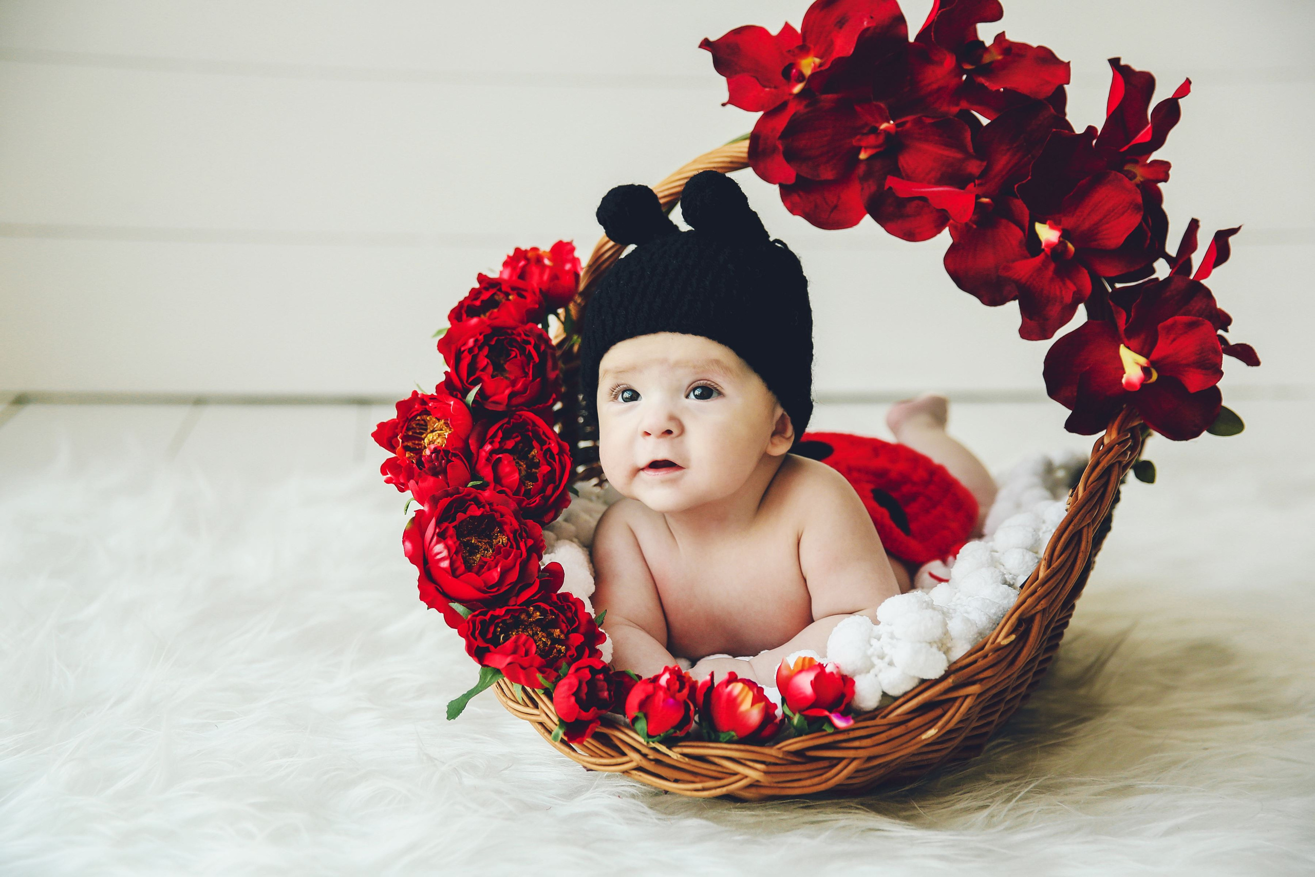 Мой старт в 2015. Фотограф новорожденных. Семейный и детский фотограф в городе Сургуте