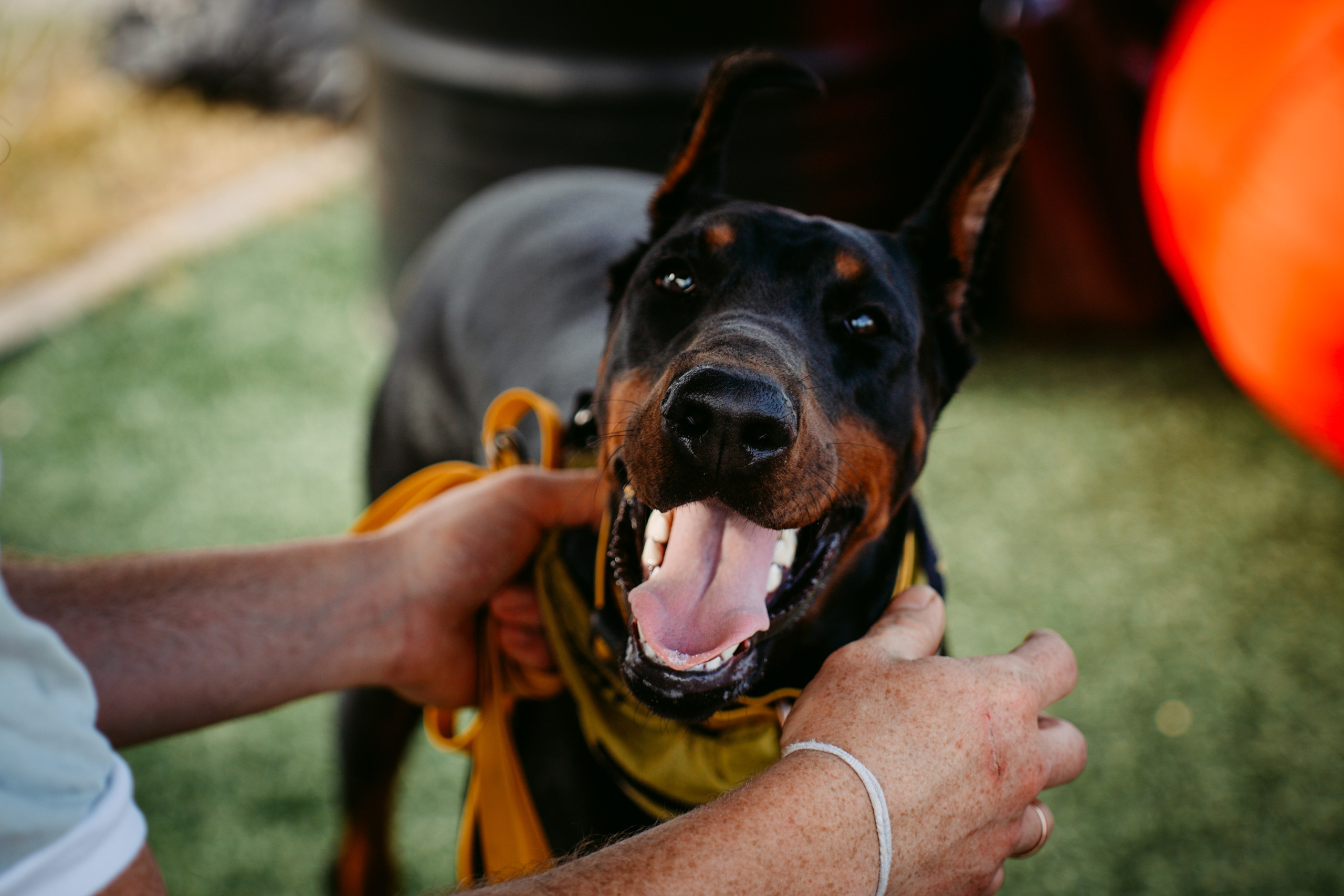 УРАМ|Детский фестиваль. Главная