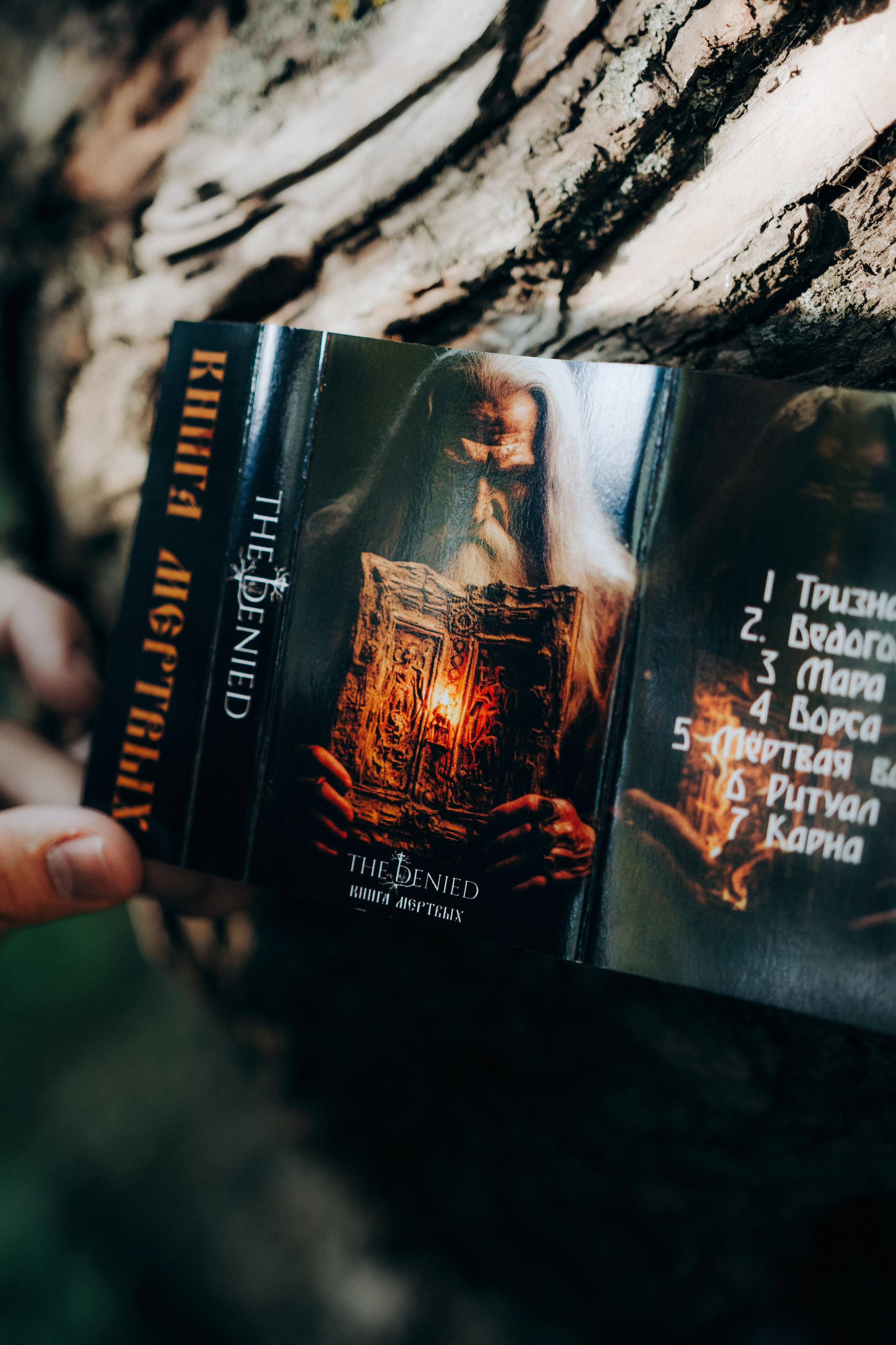 Мерч для The Denied